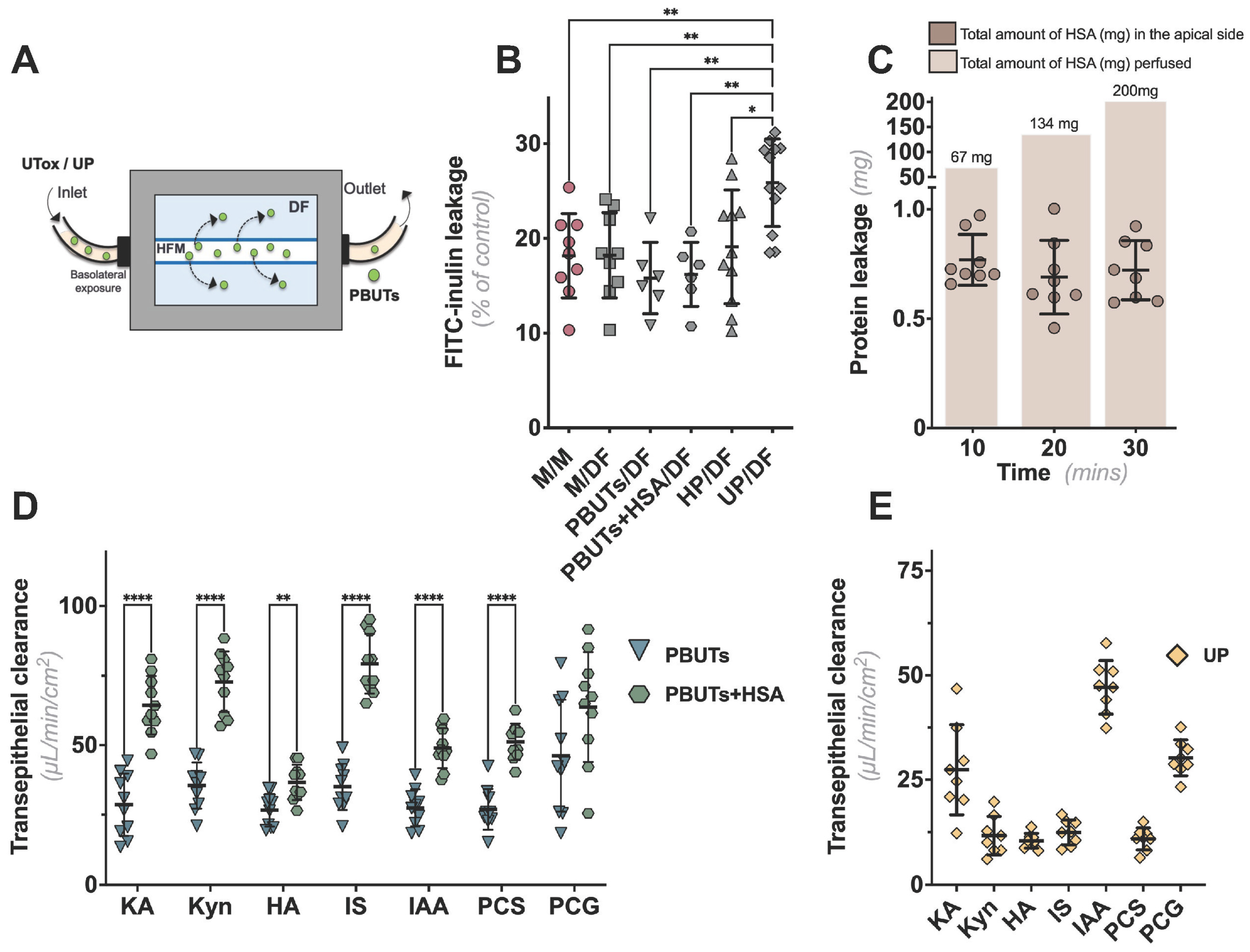 Ijms 24 12435 g003 Ijms 24 12435 g003
