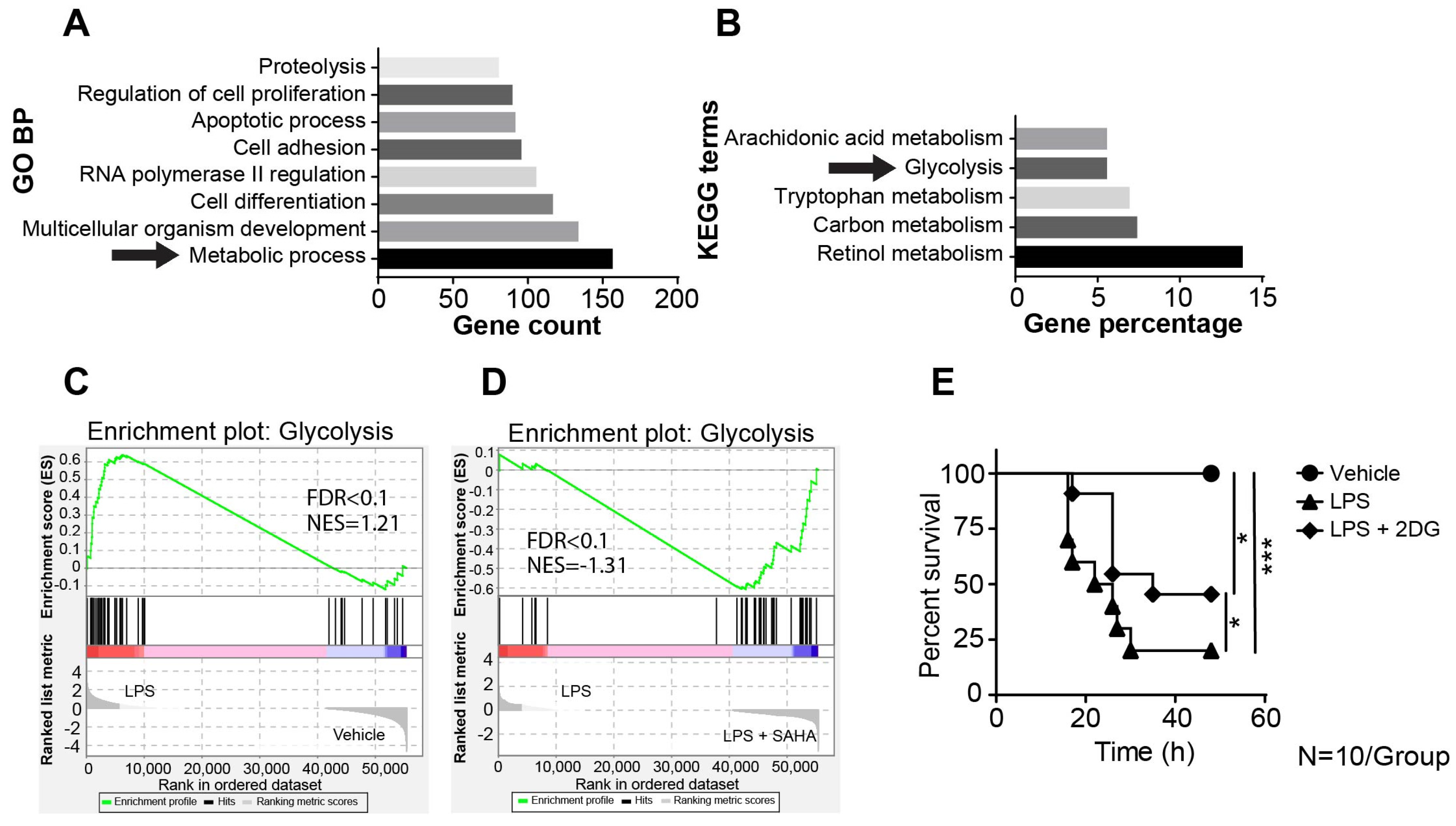 Ijms 24 12448 g002 Ijms 24 12448 g002