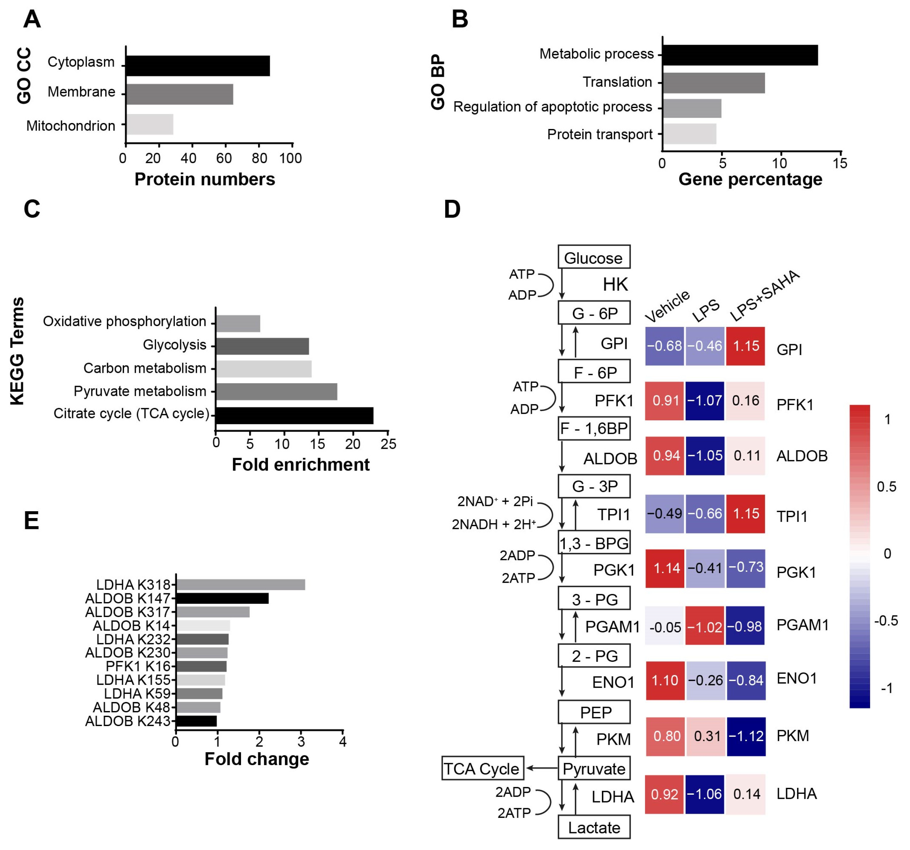 Ijms 24 12448 g003 Ijms 24 12448 g003