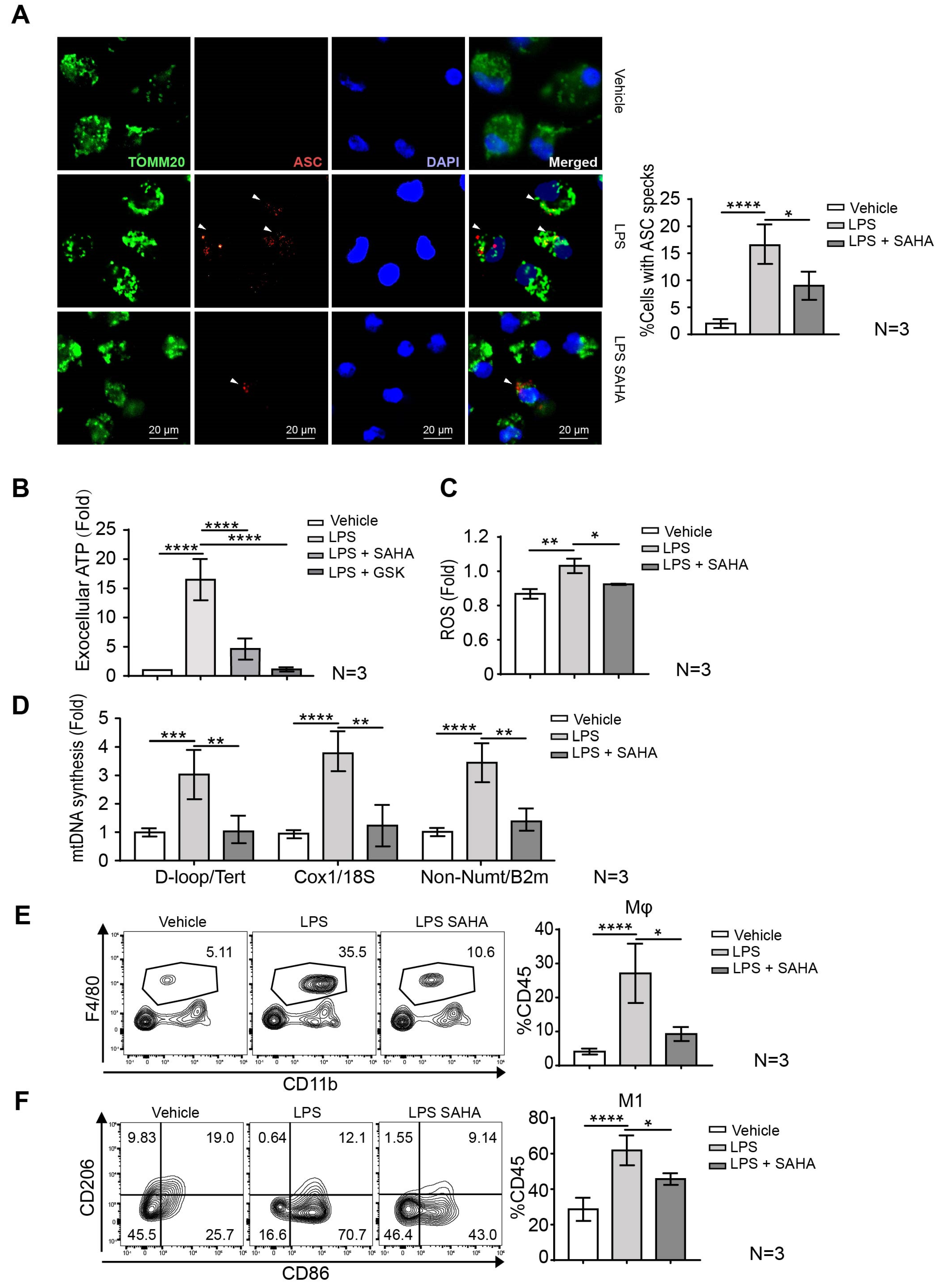 Ijms 24 12448 g005 Ijms 24 12448 g005