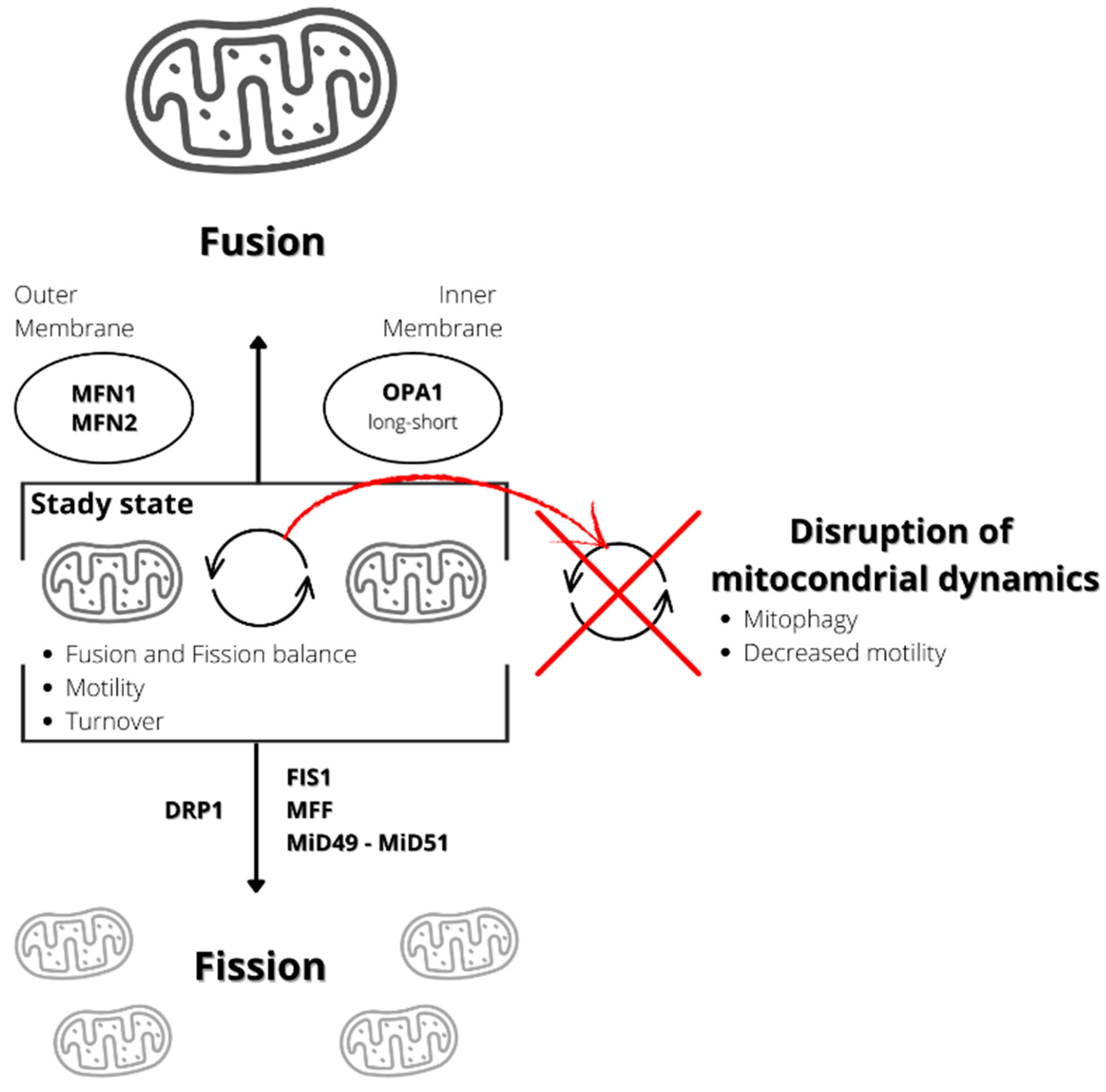 Ijms 24 12453 g001 Ijms 24 12453 g001