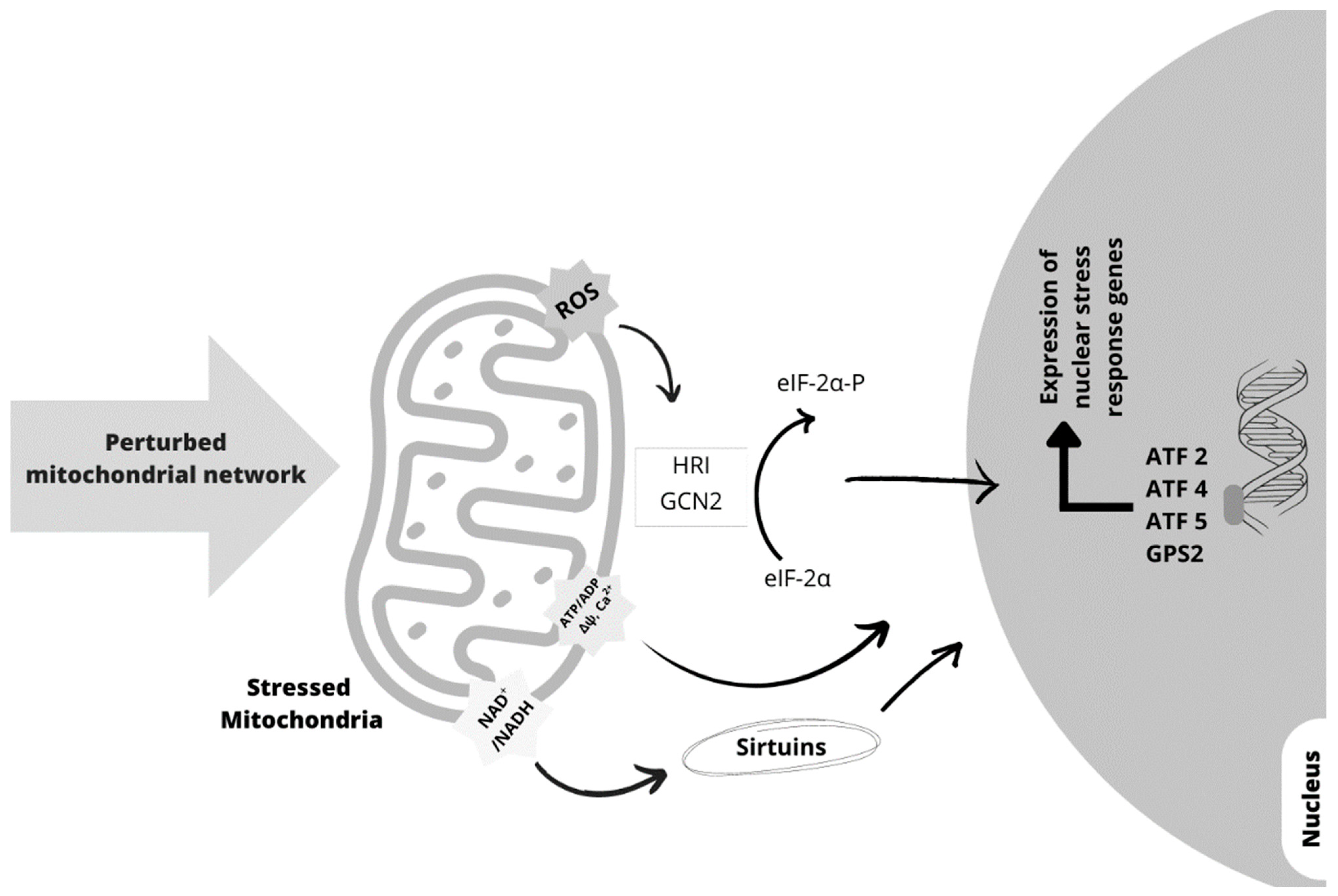 Ijms 24 12453 g003 Ijms 24 12453 g003