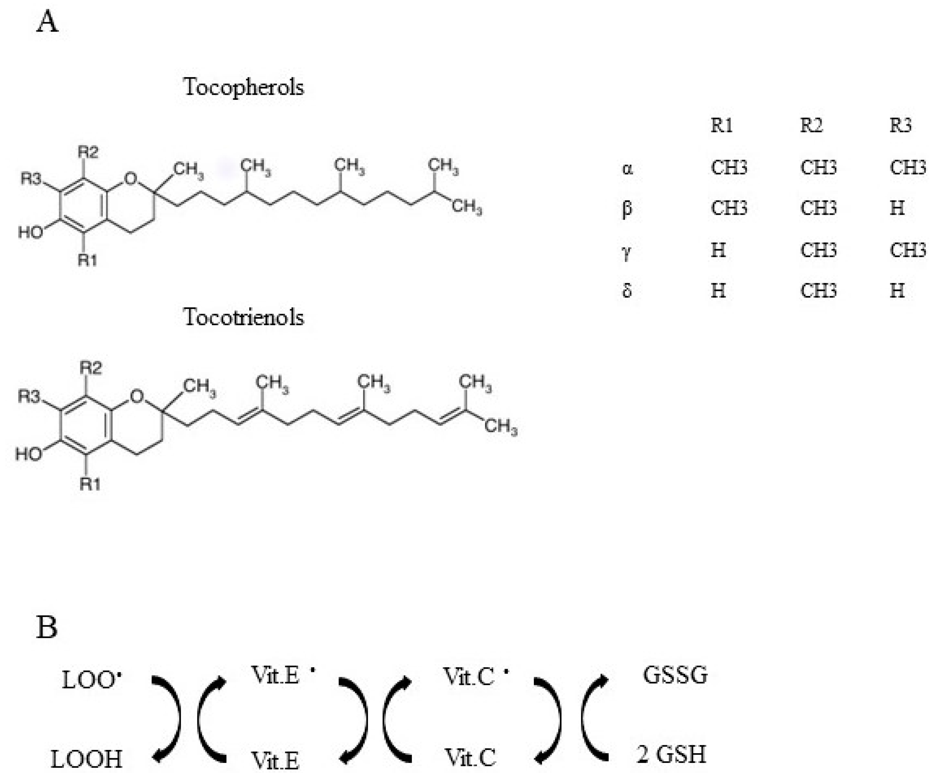 Ijms 24 12453 g006 Ijms 24 12453 g006