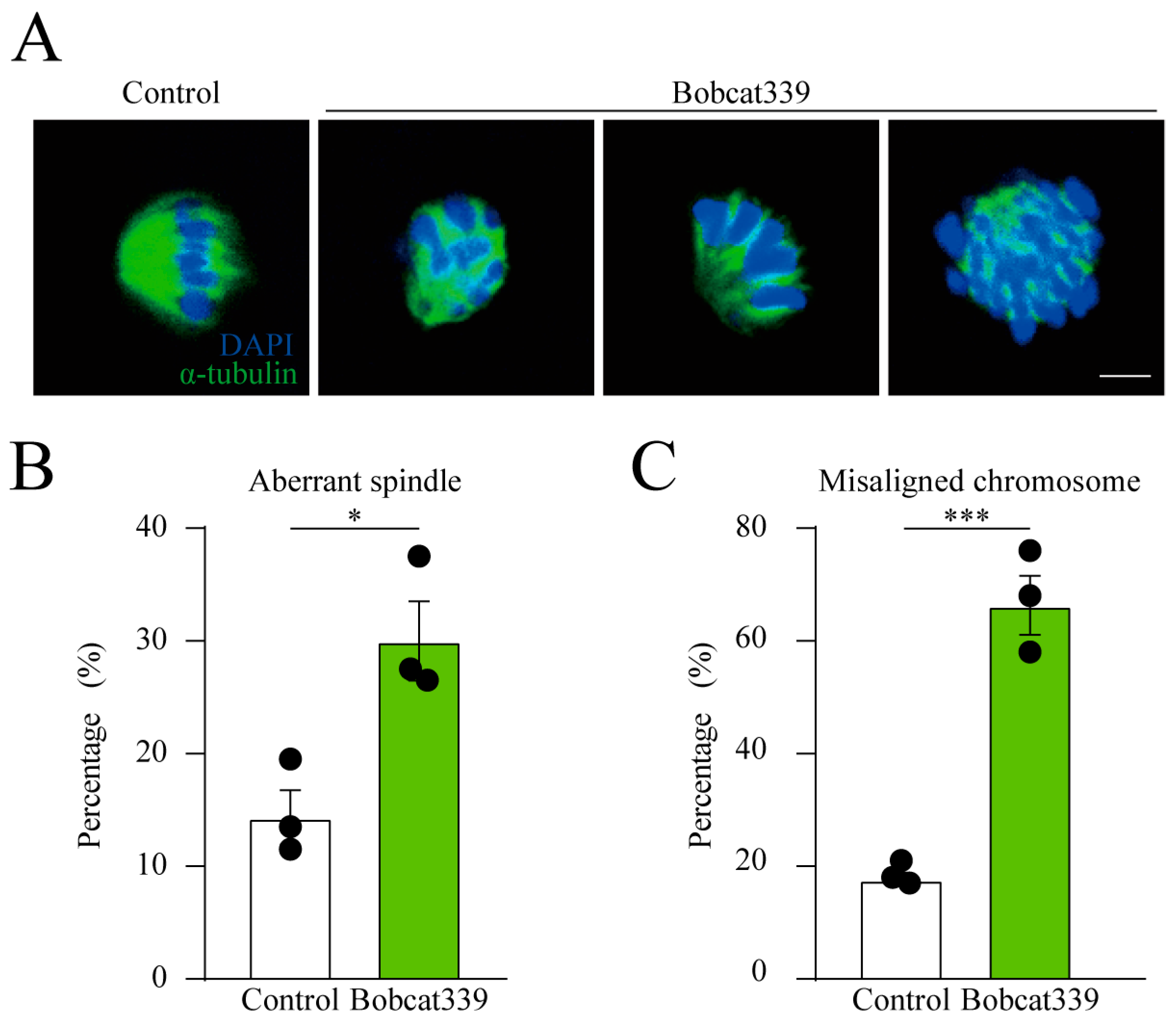 Ijms 24 12455 g003 Ijms 24 12455 g003