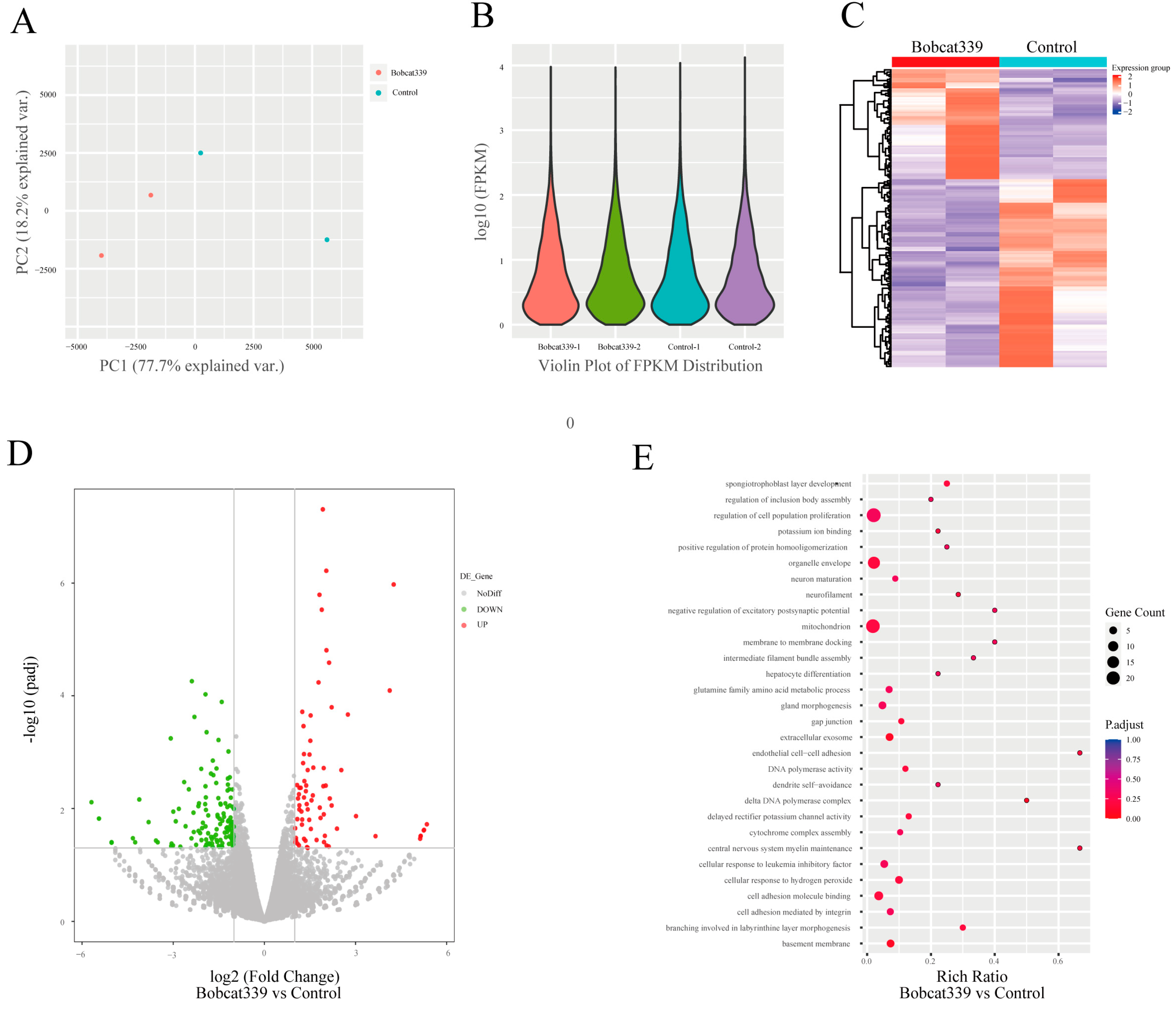 Ijms 24 12455 g008 Ijms 24 12455 g008