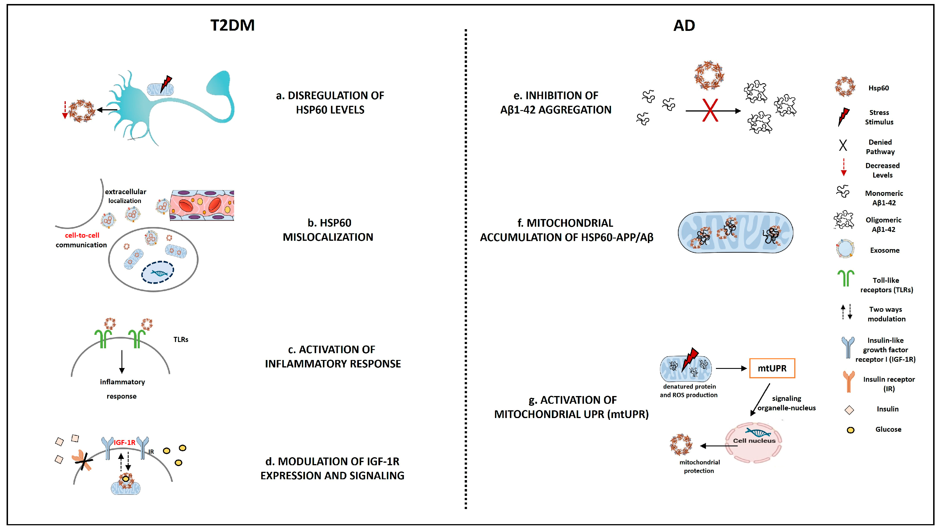 Ijms 24 12456 g001 Ijms 24 12456 g001