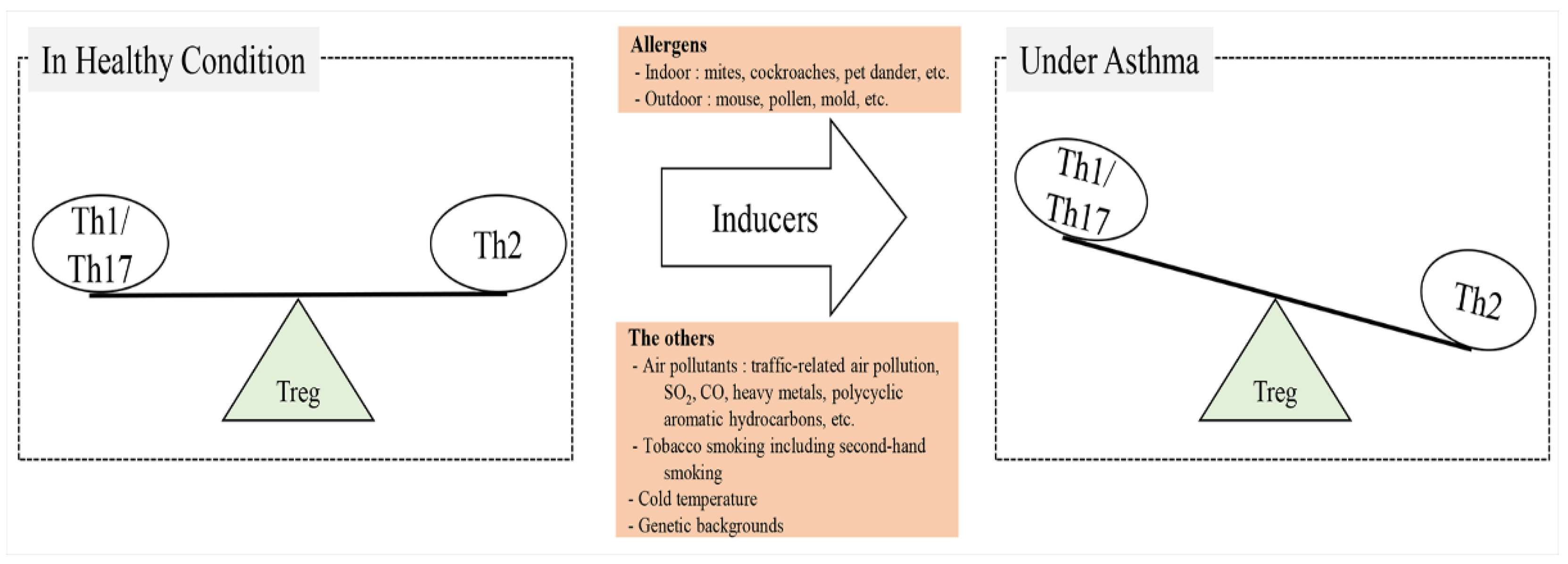 Ijms 24 12469 g001 Ijms 24 12469 g001