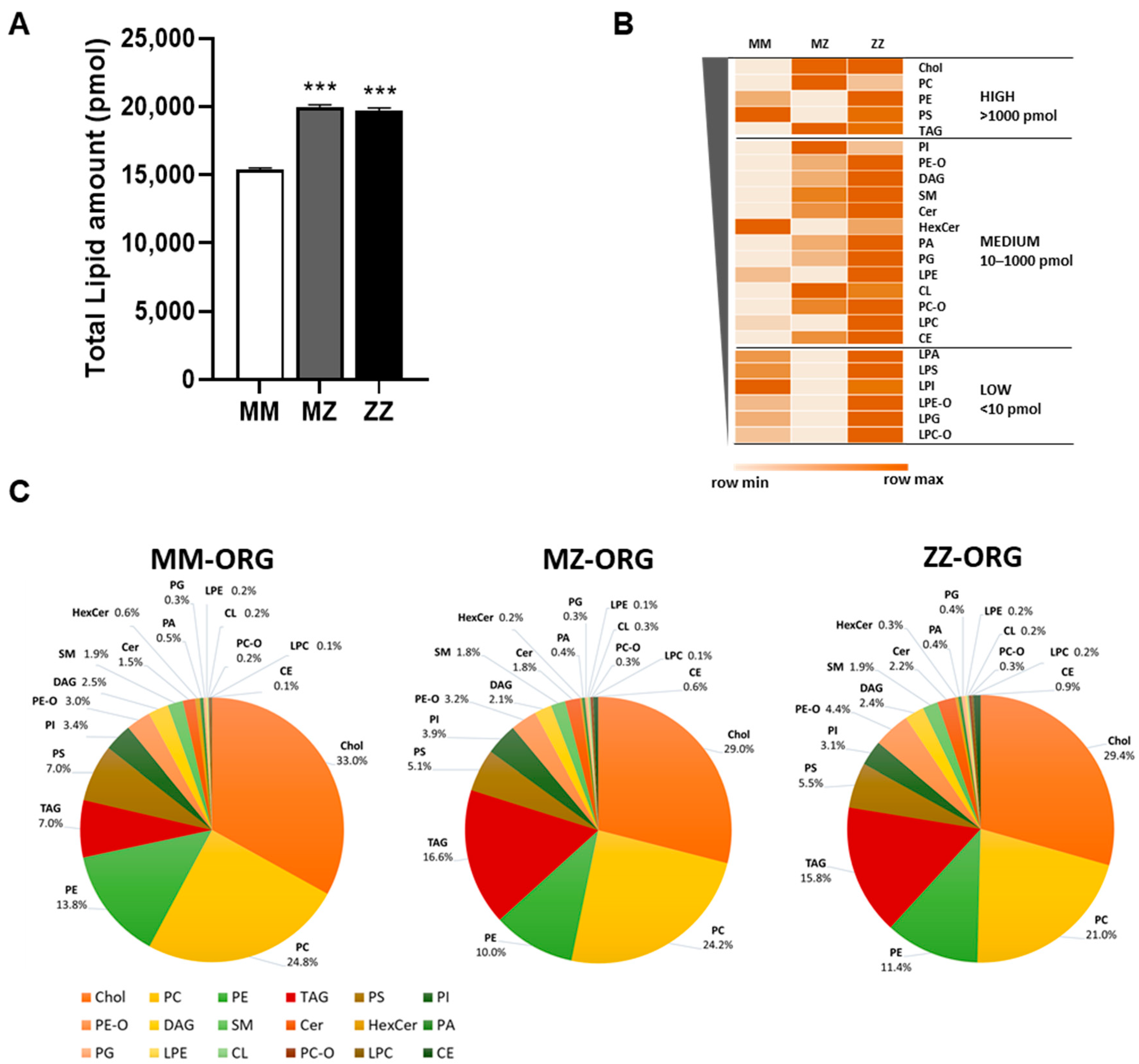 Ijms 24 12472 g003 Ijms 24 12472 g003