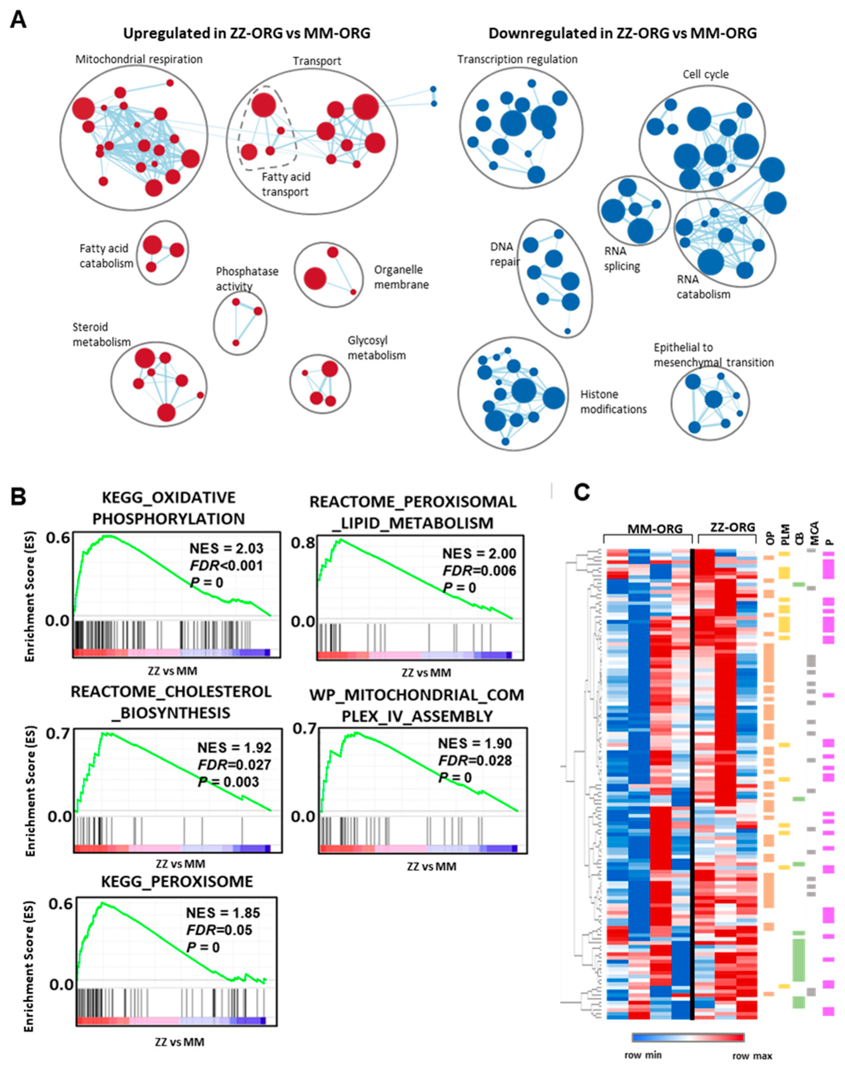 Ijms 24 12472 g004 Ijms 24 12472 g004