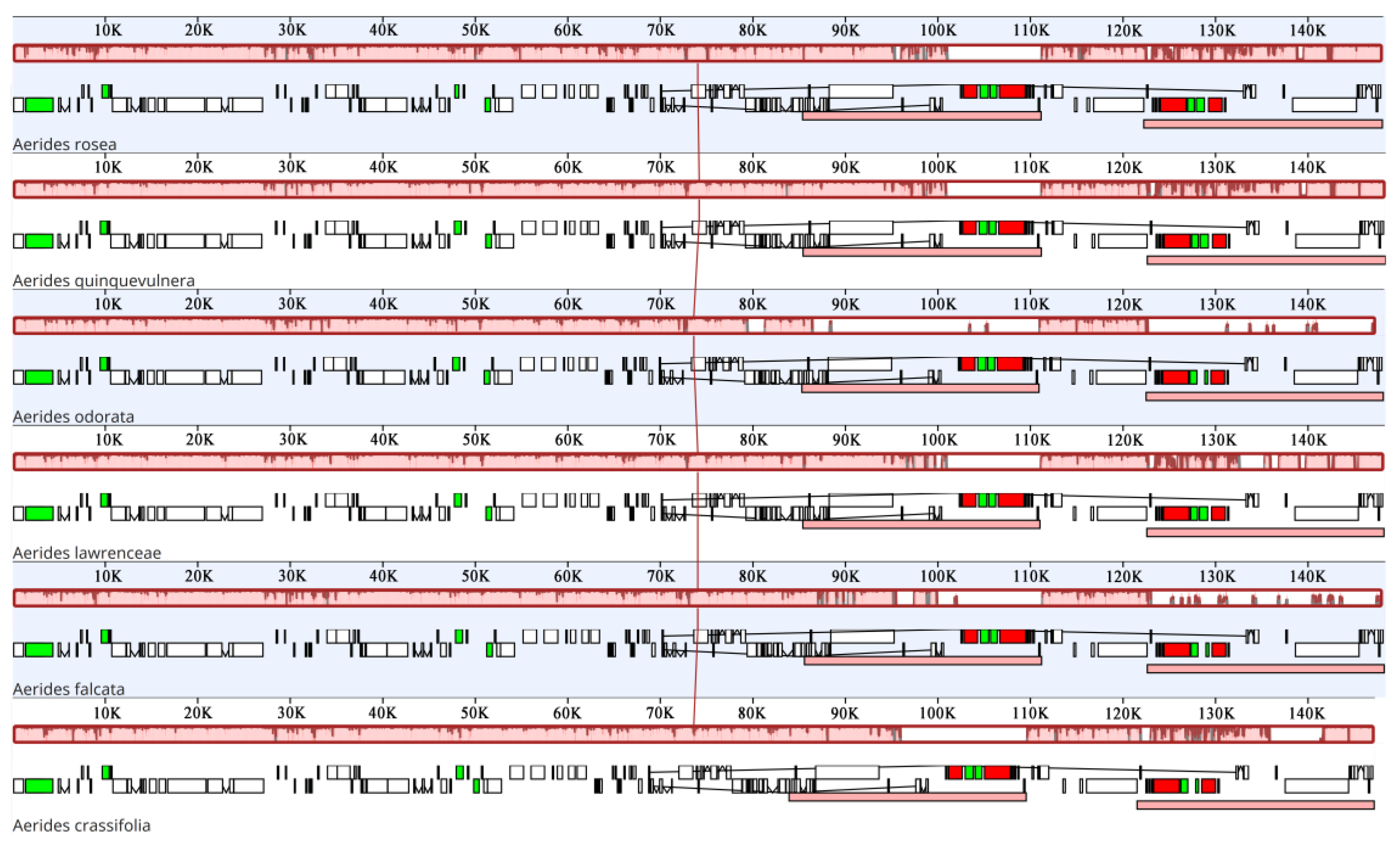 Ijms 24 12473 g004 Ijms 24 12473 g004