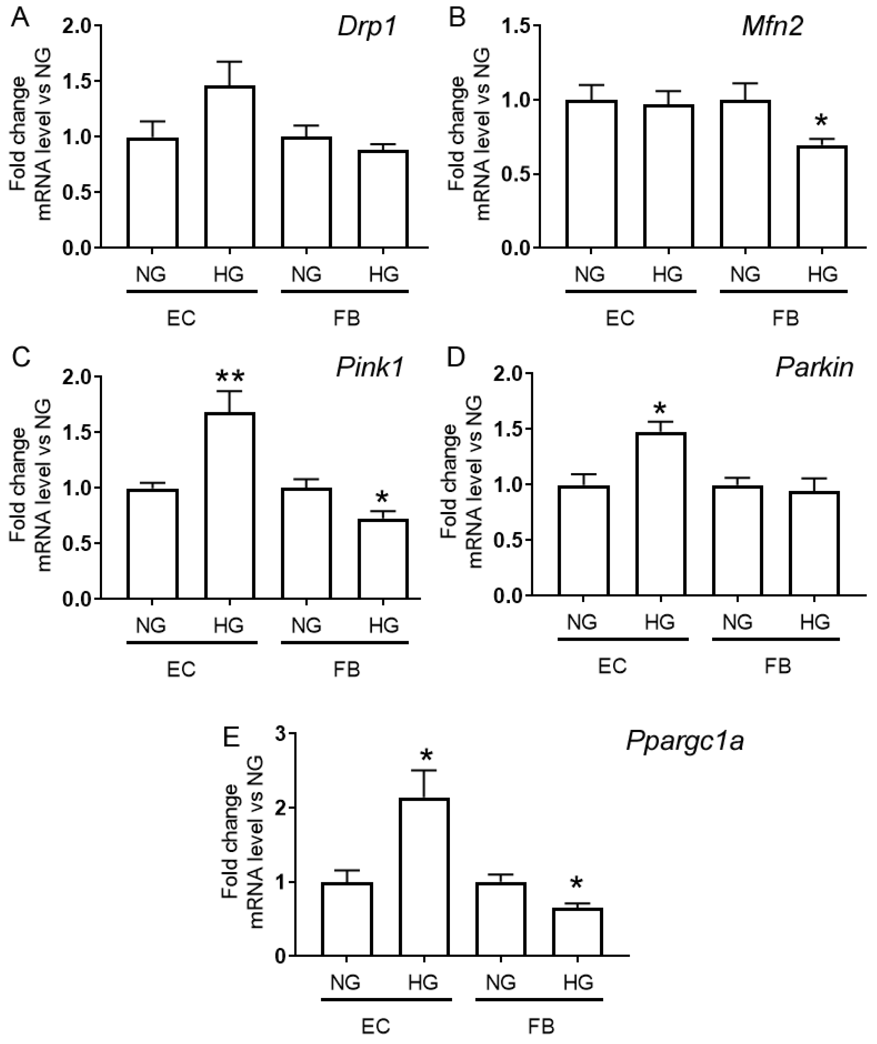 Ijms 24 12485 g003 Ijms 24 12485 g003