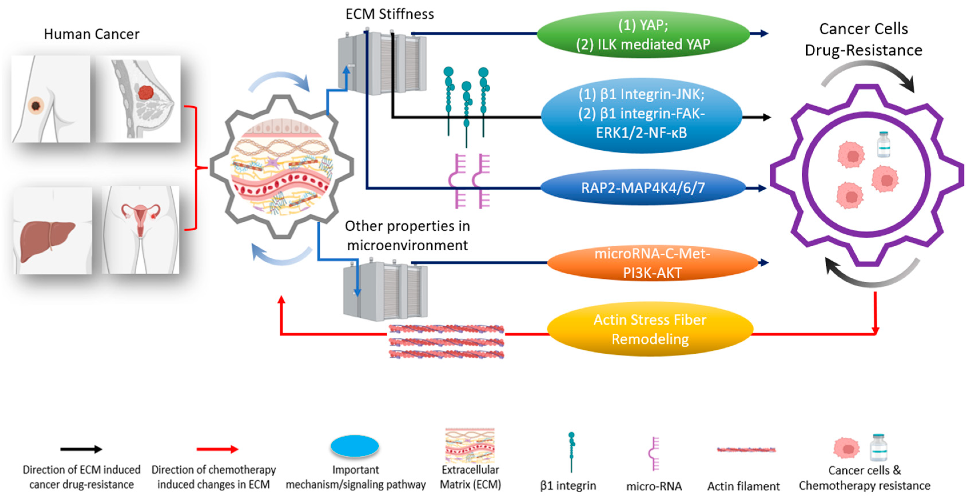 Ijms 24 12491 g003 Ijms 24 12491 g003