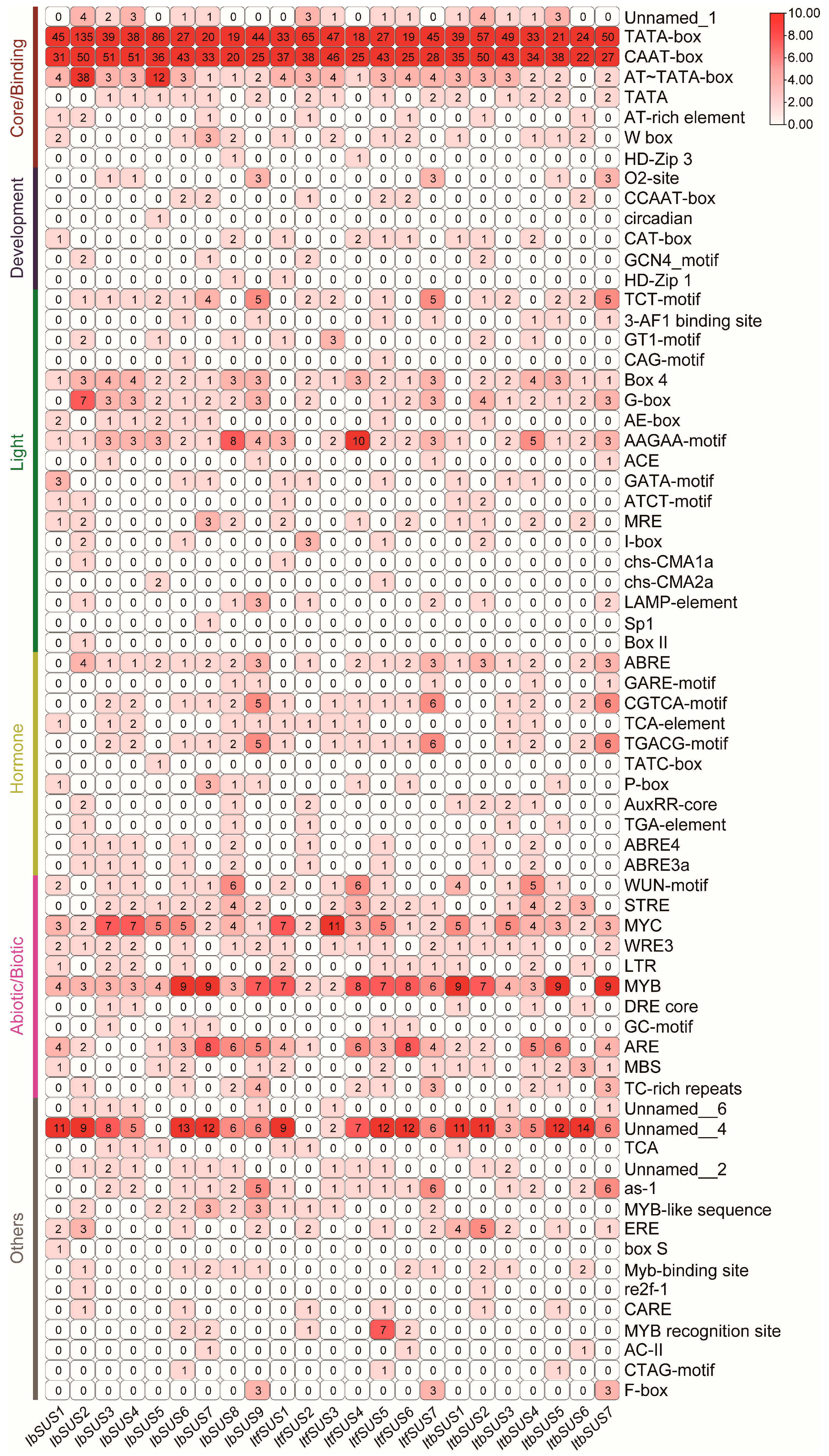 Ijms 24 12493 g004 Ijms 24 12493 g004