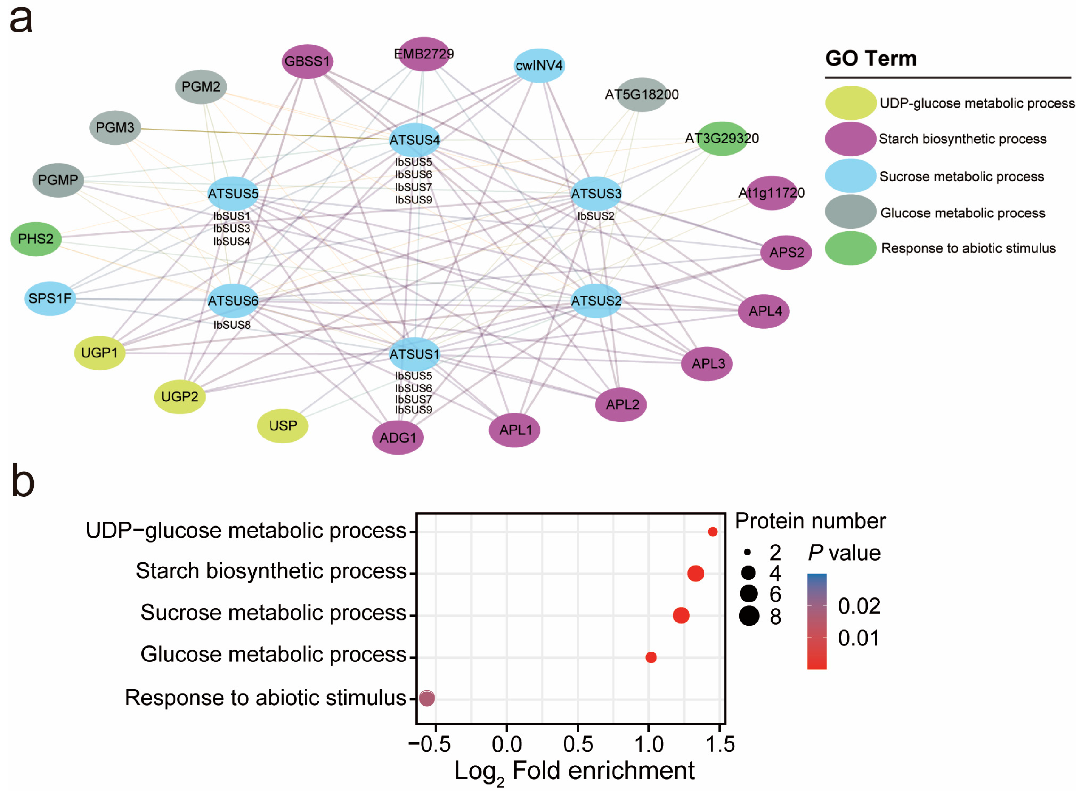 Ijms 24 12493 g005 Ijms 24 12493 g005