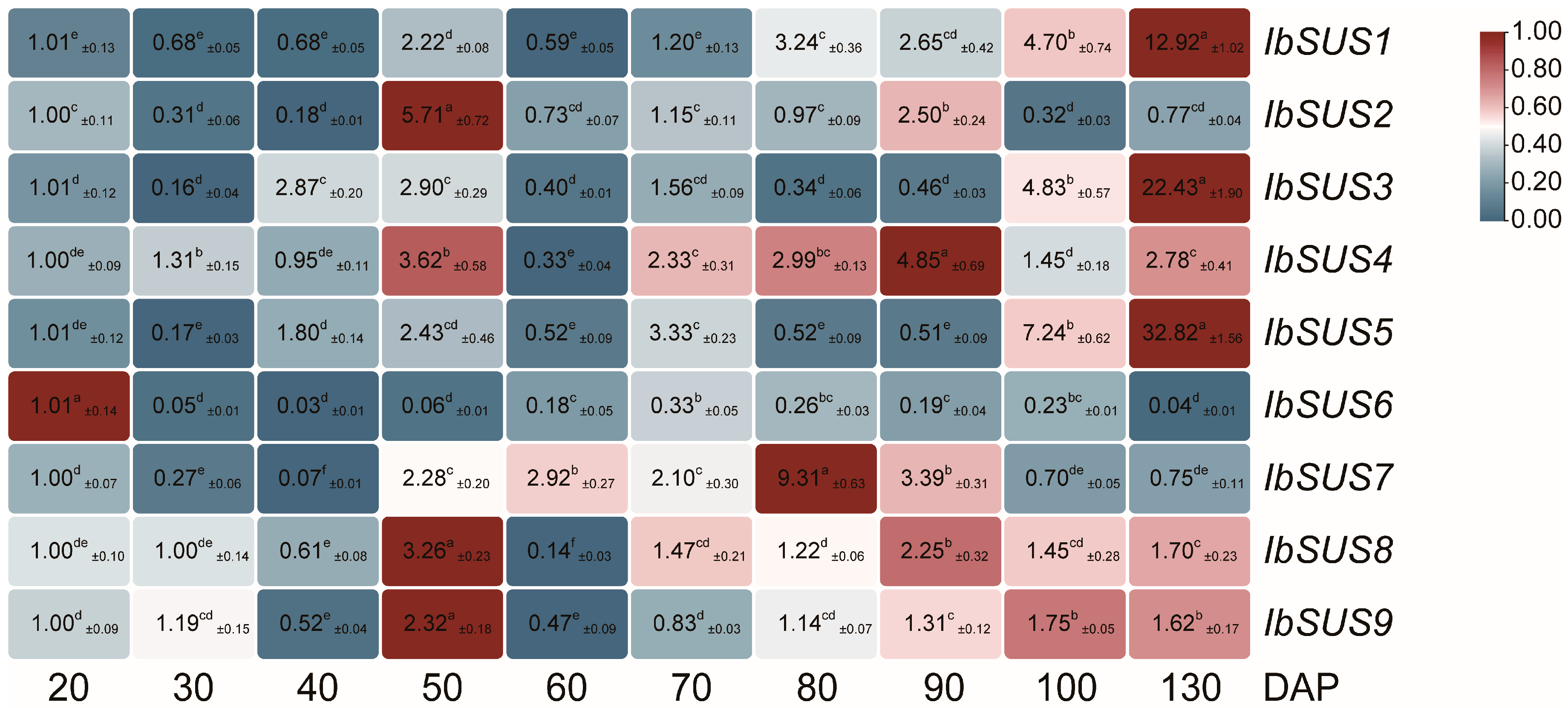 Ijms 24 12493 g007 Ijms 24 12493 g007