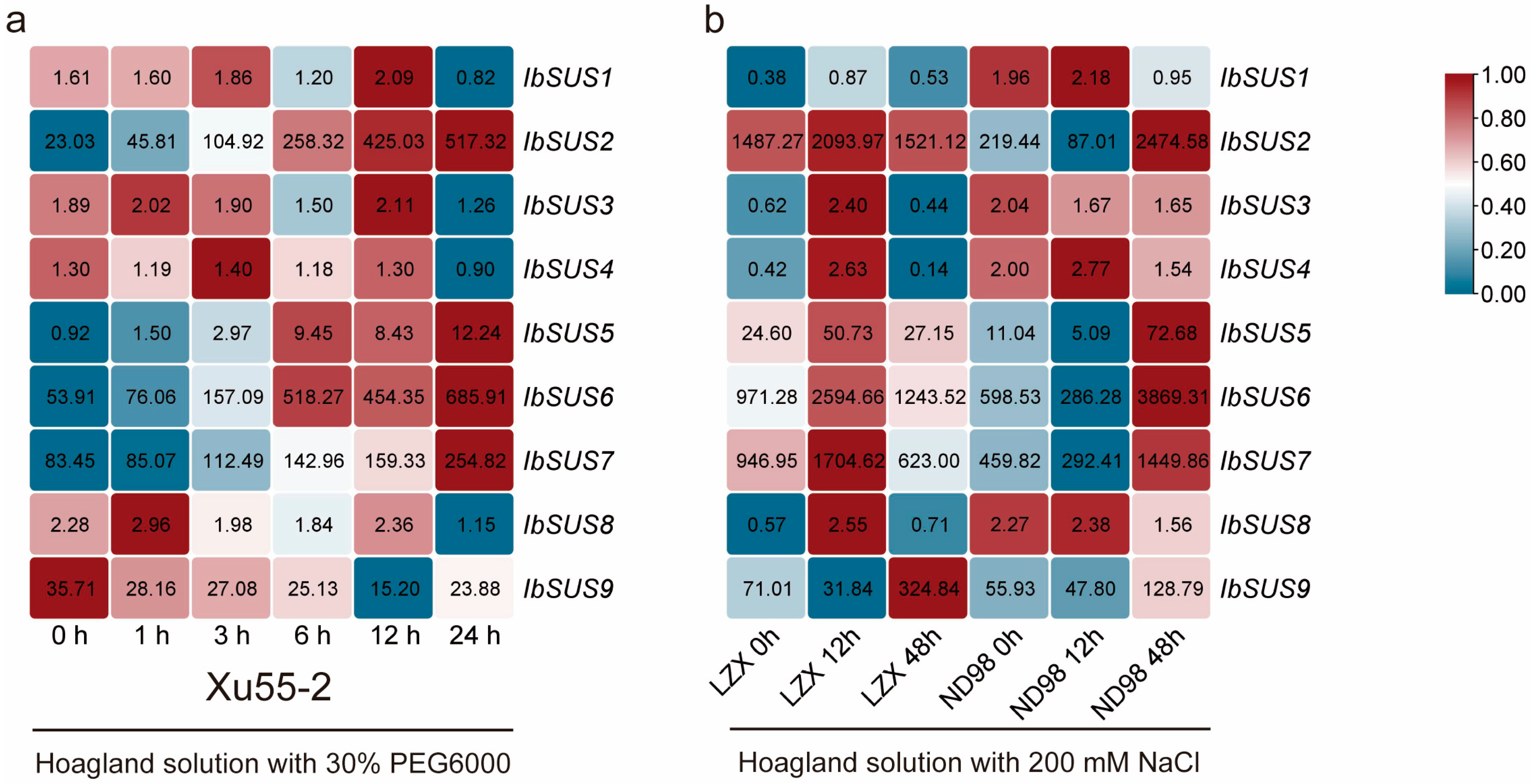 Ijms 24 12493 g009 Ijms 24 12493 g009