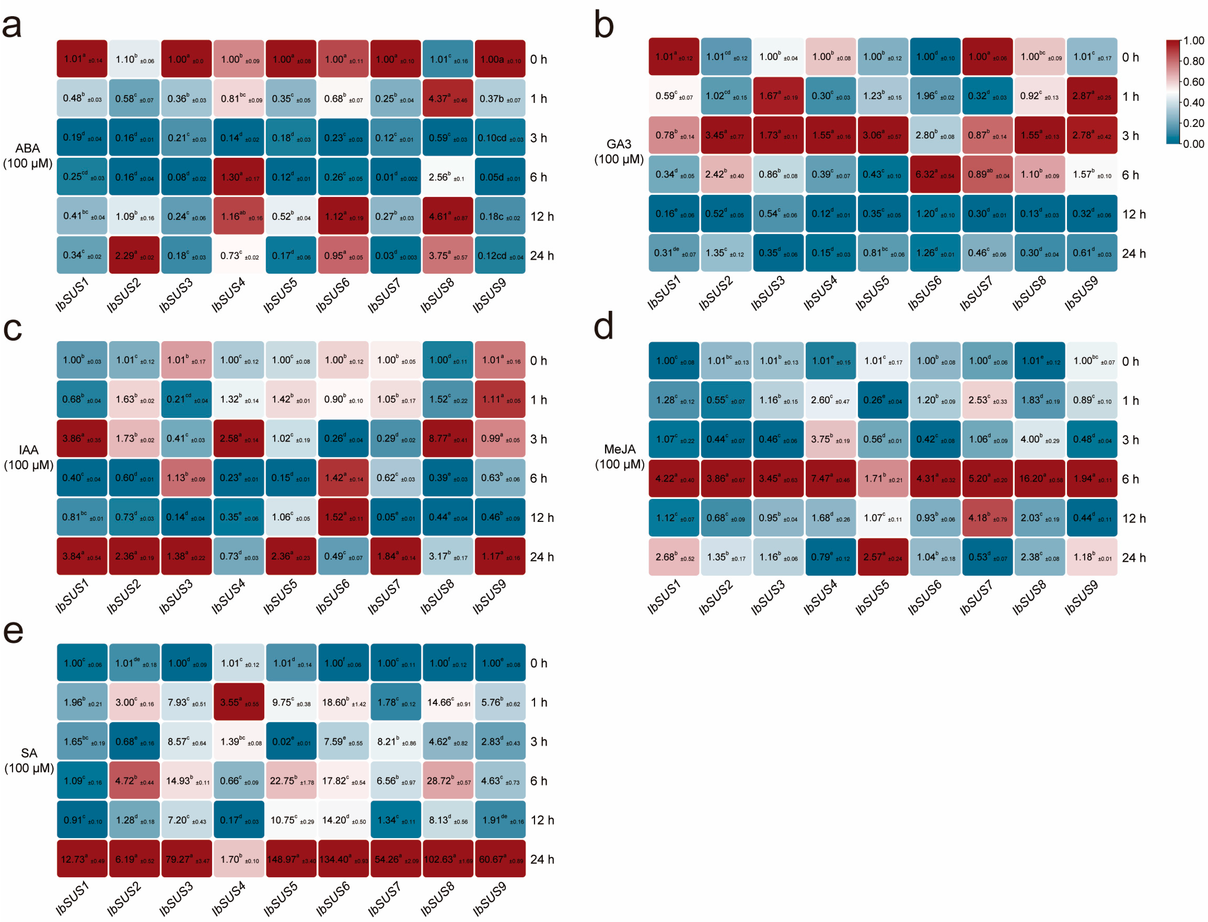 Ijms 24 12493 g010 Ijms 24 12493 g010