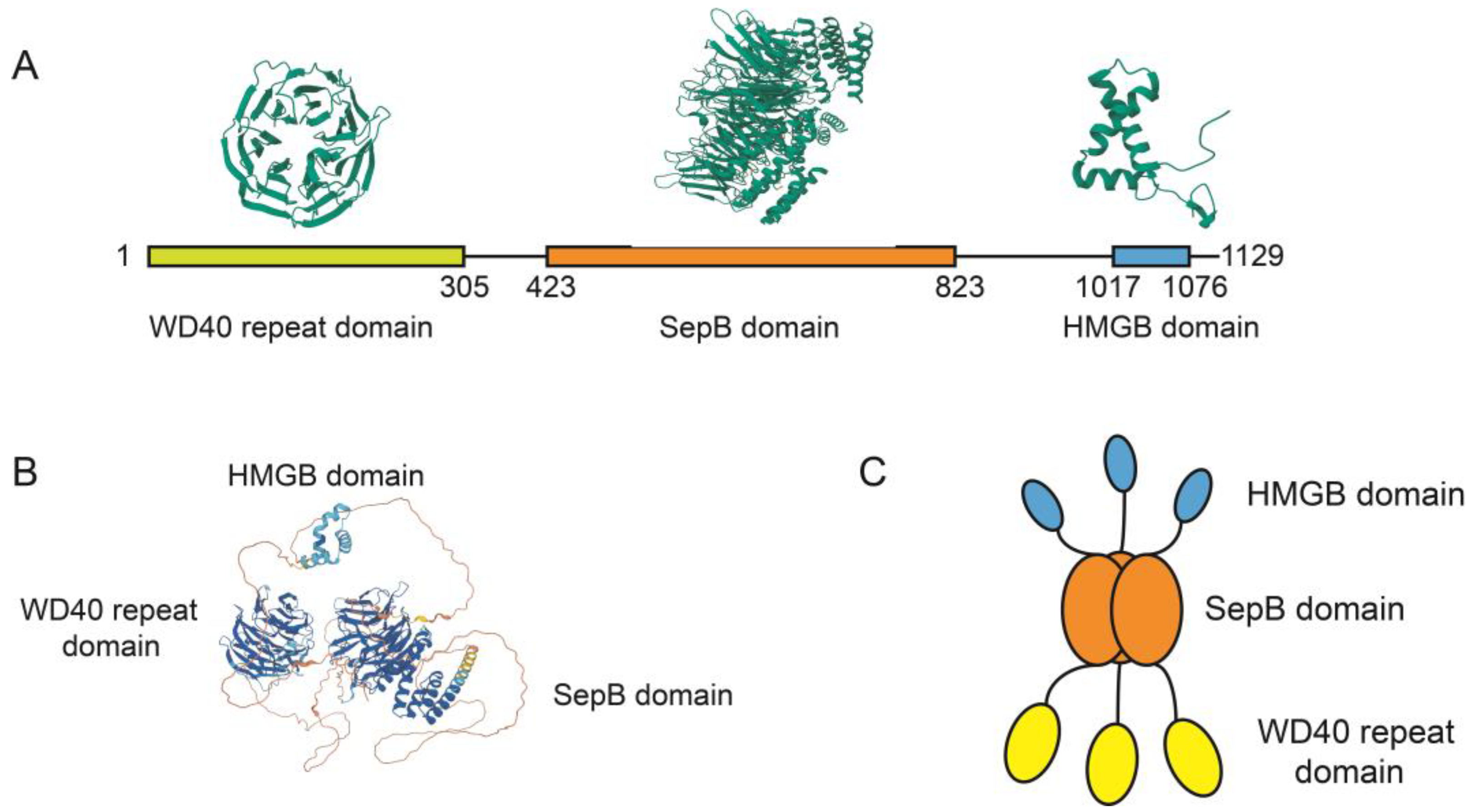 Ijms 24 12494 g002 Ijms 24 12494 g002