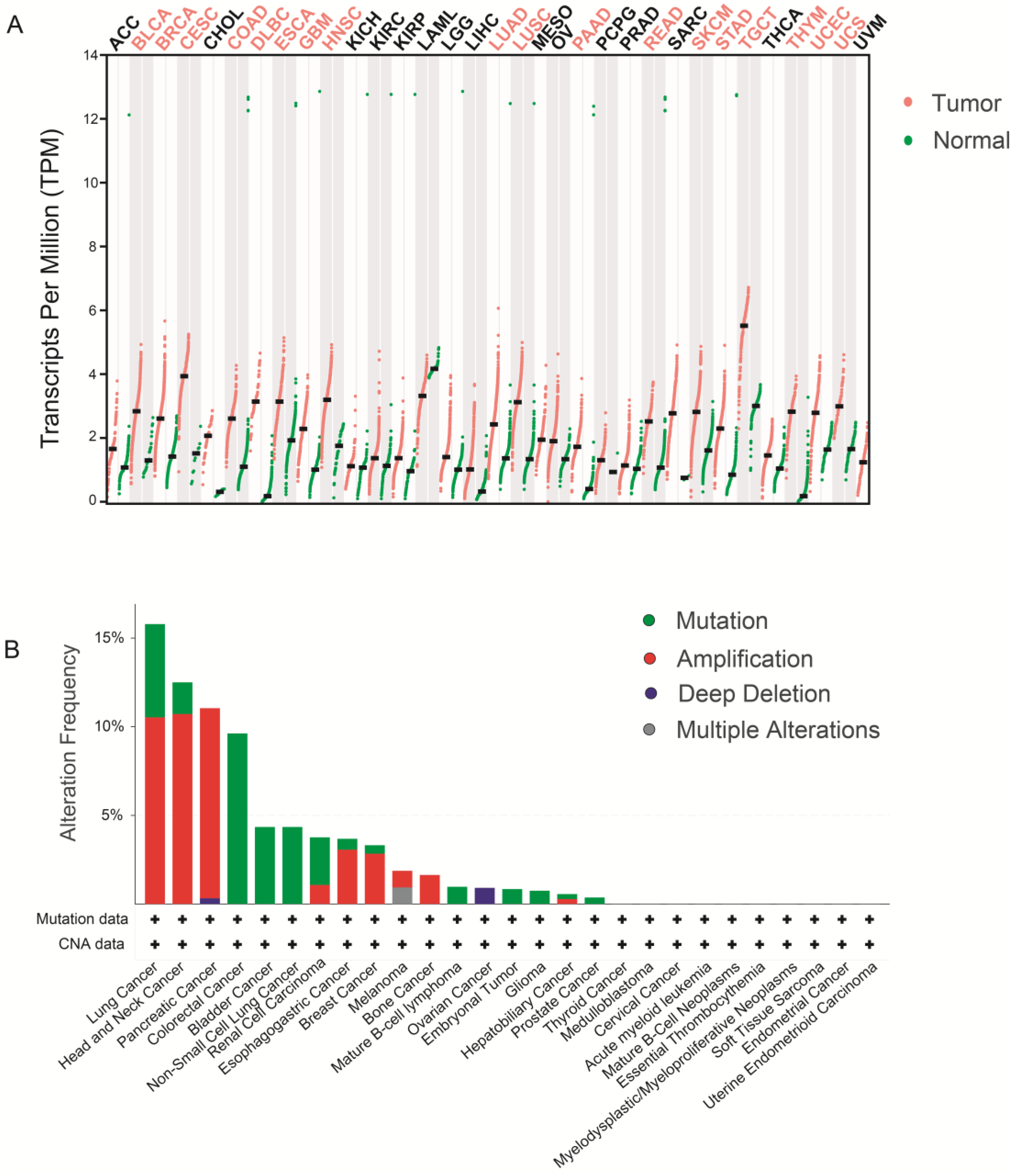 Ijms 24 12494 g004 Ijms 24 12494 g004