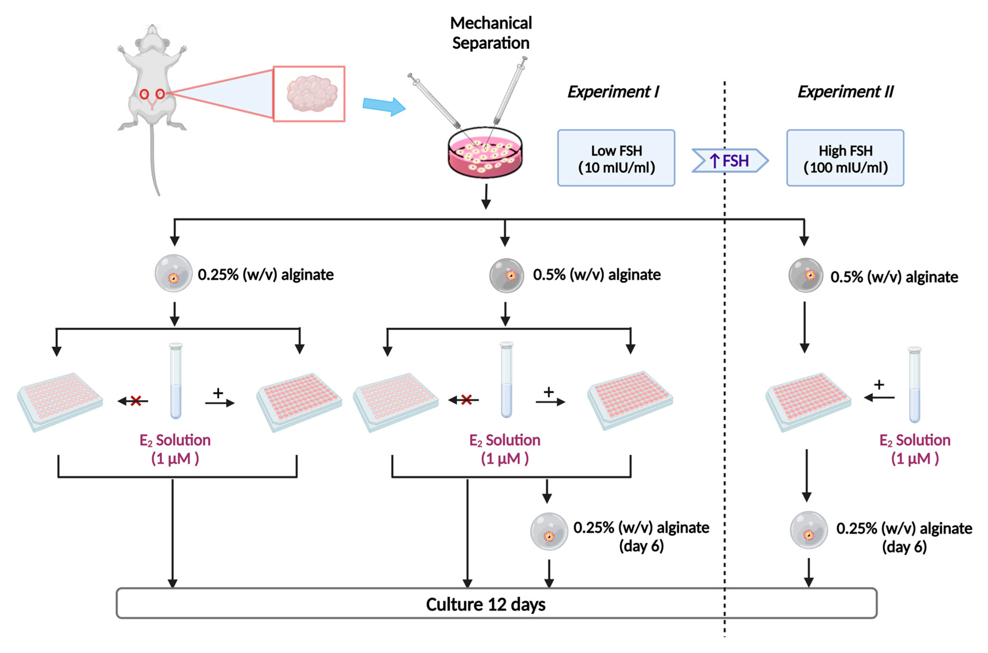 Ijms 24 12499 g004 Ijms 24 12499 g004