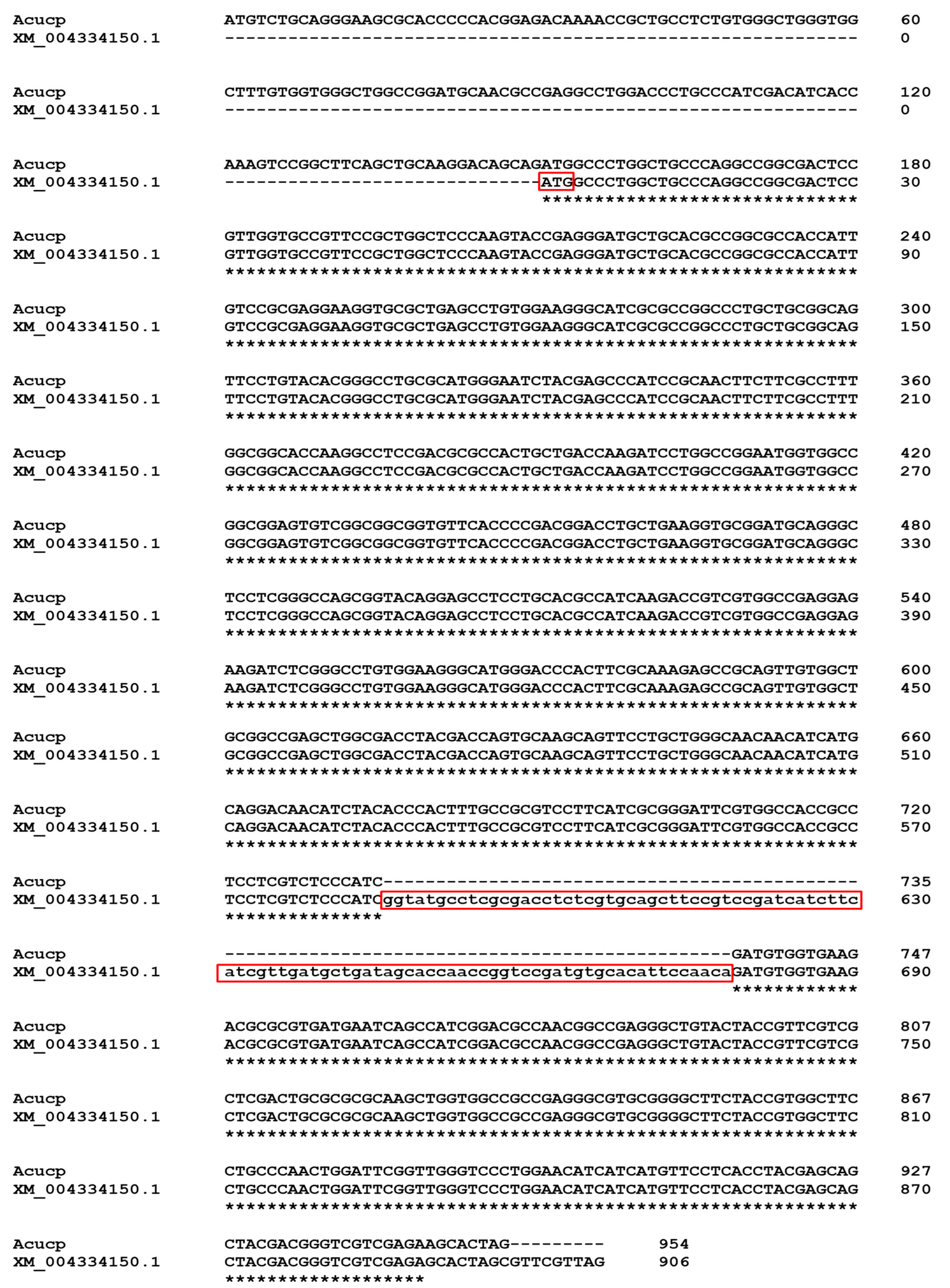 Ijms 24 12501 g001 Ijms 24 12501 g001