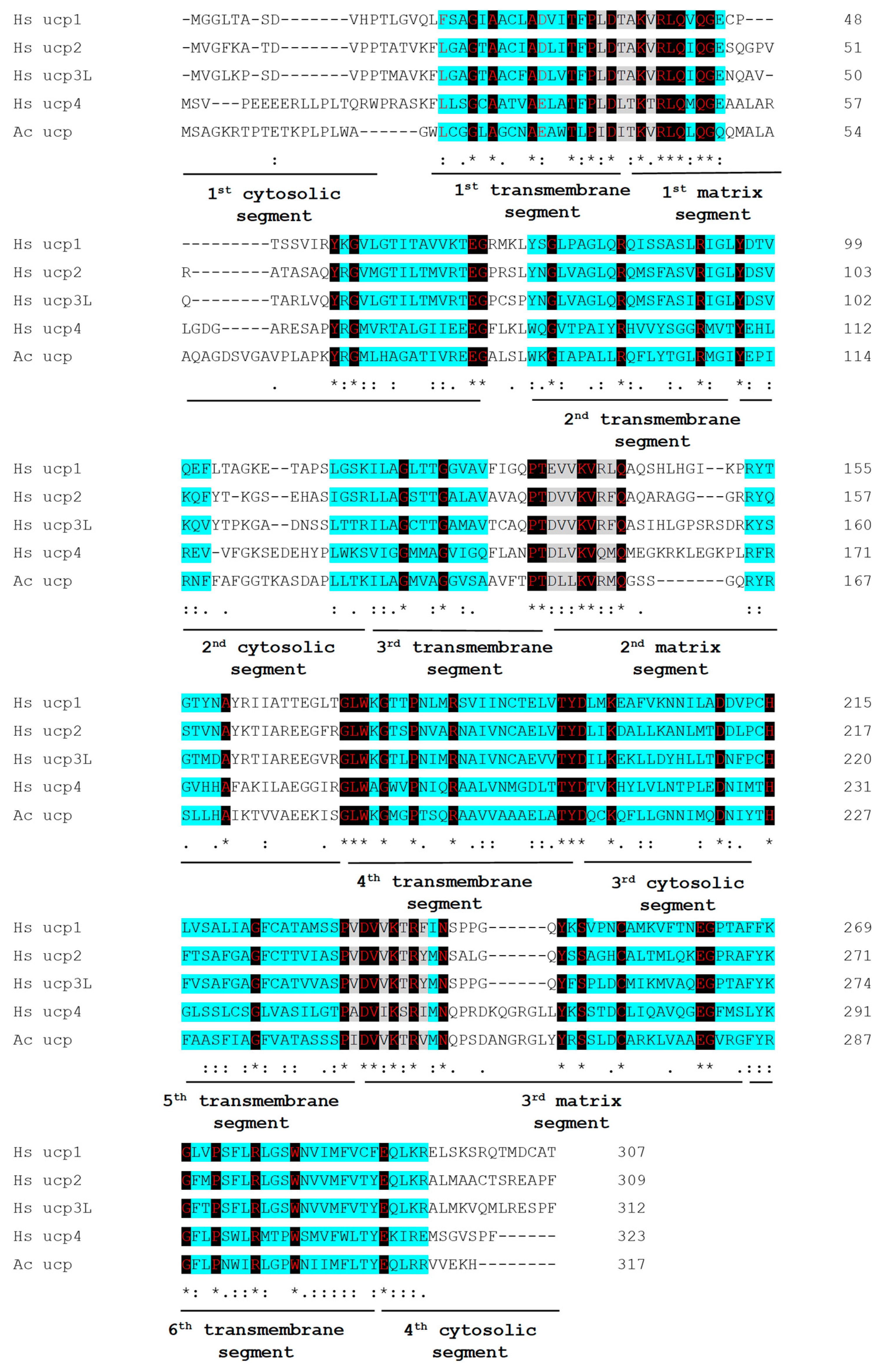 Ijms 24 12501 g002 Ijms 24 12501 g002