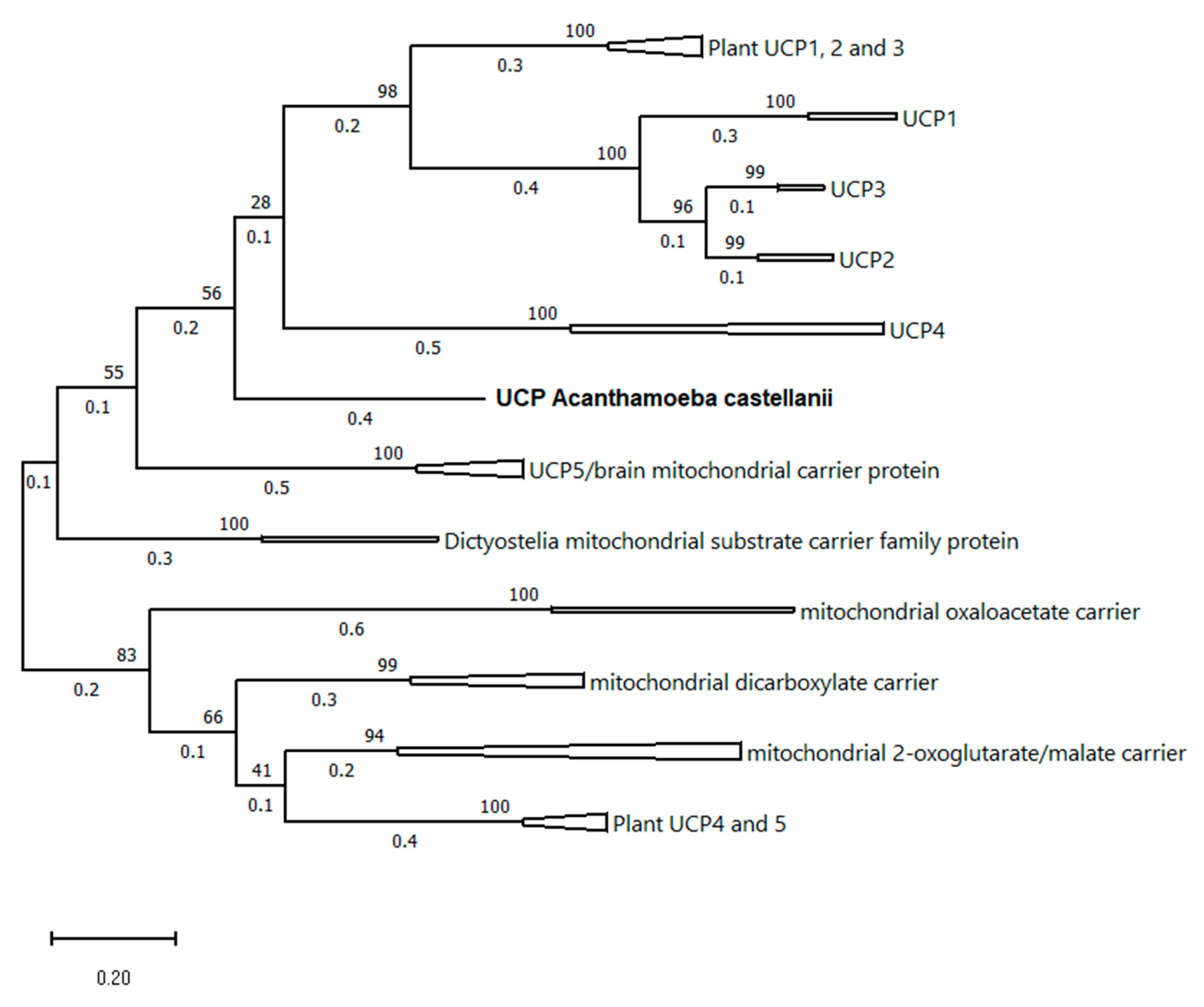 Ijms 24 12501 g009 Ijms 24 12501 g009