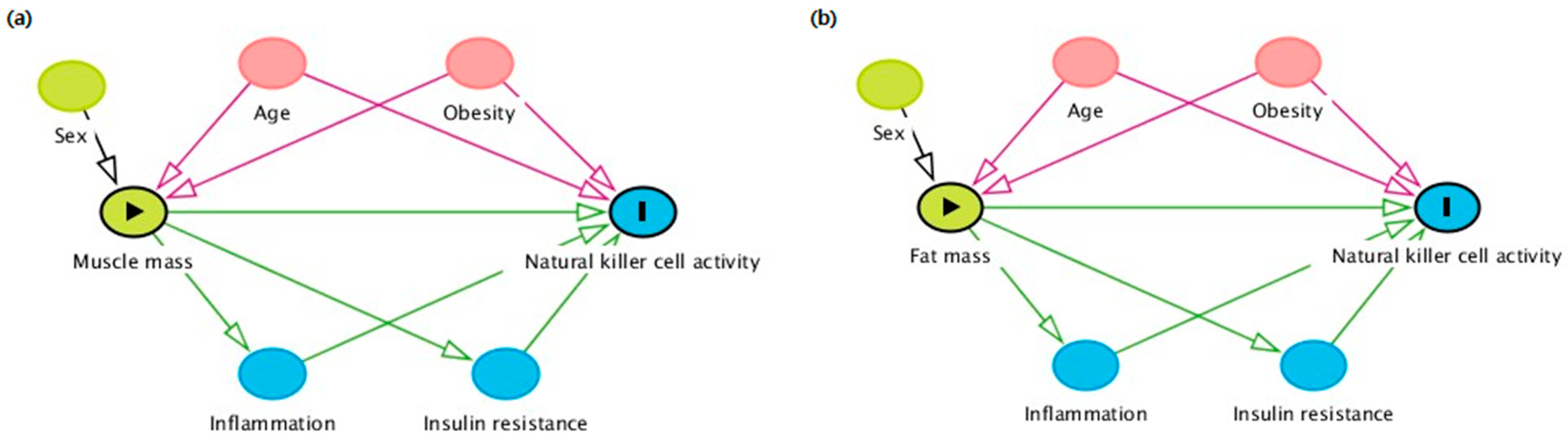 Ijms 24 12505 g002 Ijms 24 12505 g002