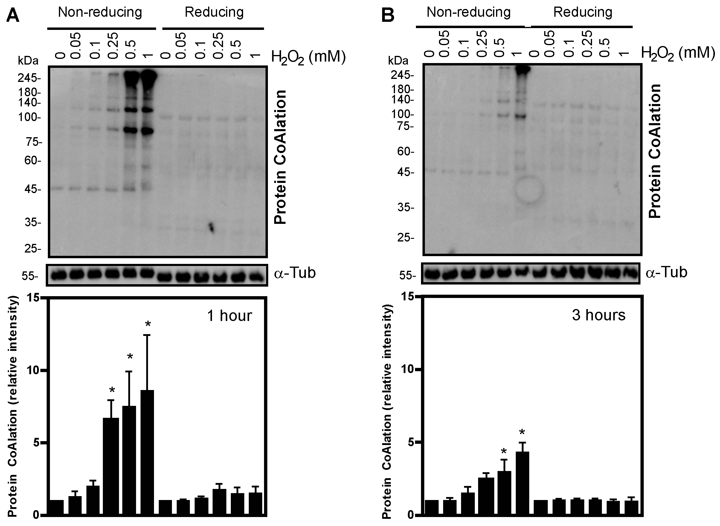 Ijms 24 12526 g001 Ijms 24 12526 g001