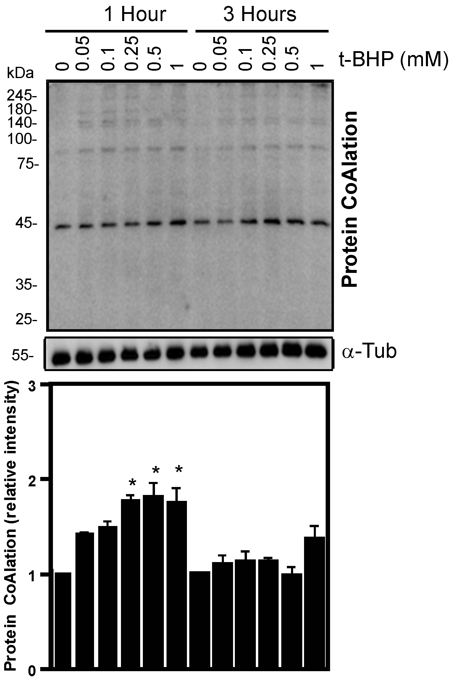 Ijms 24 12526 g003 Ijms 24 12526 g003