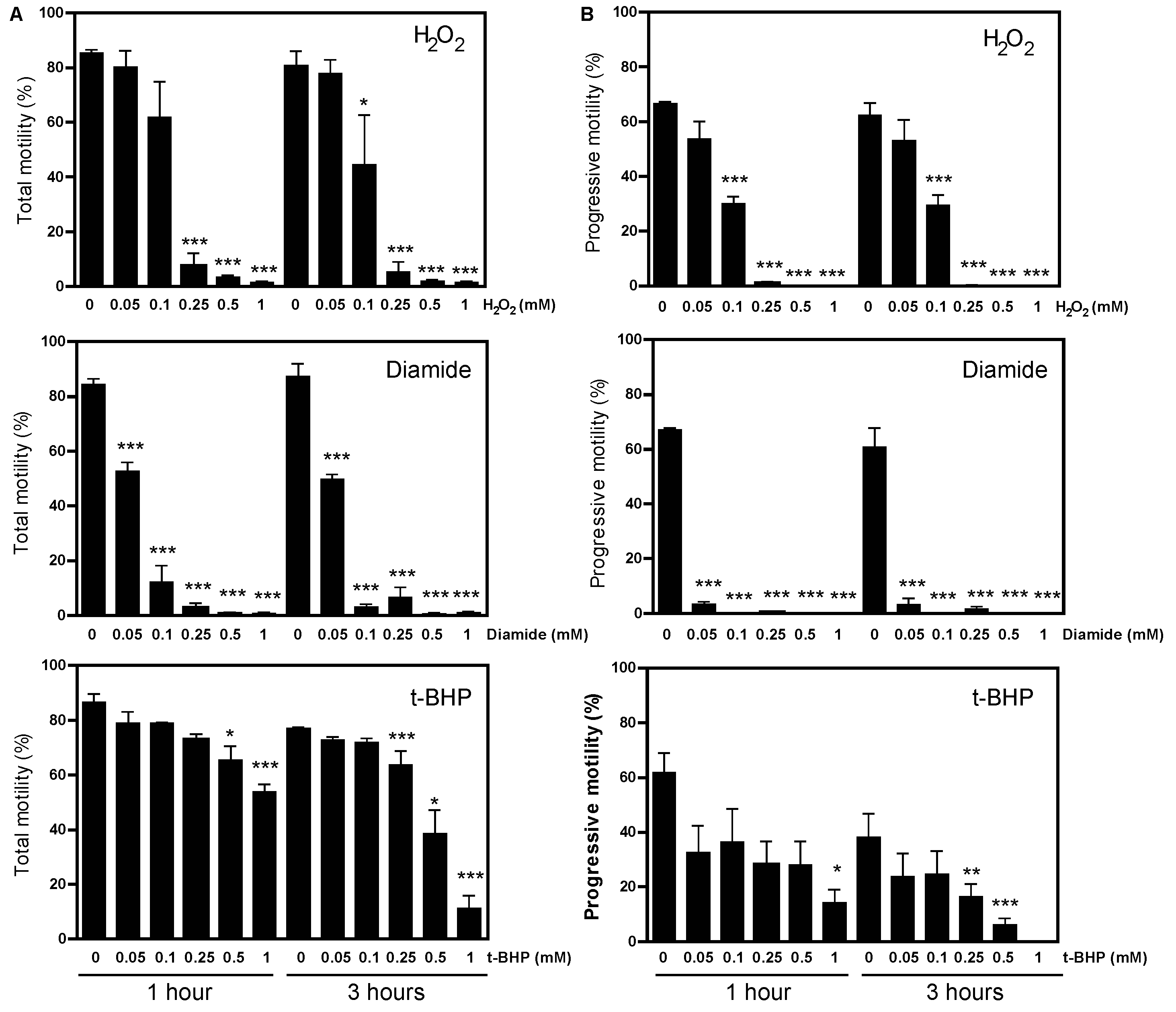 Ijms 24 12526 g004 Ijms 24 12526 g004