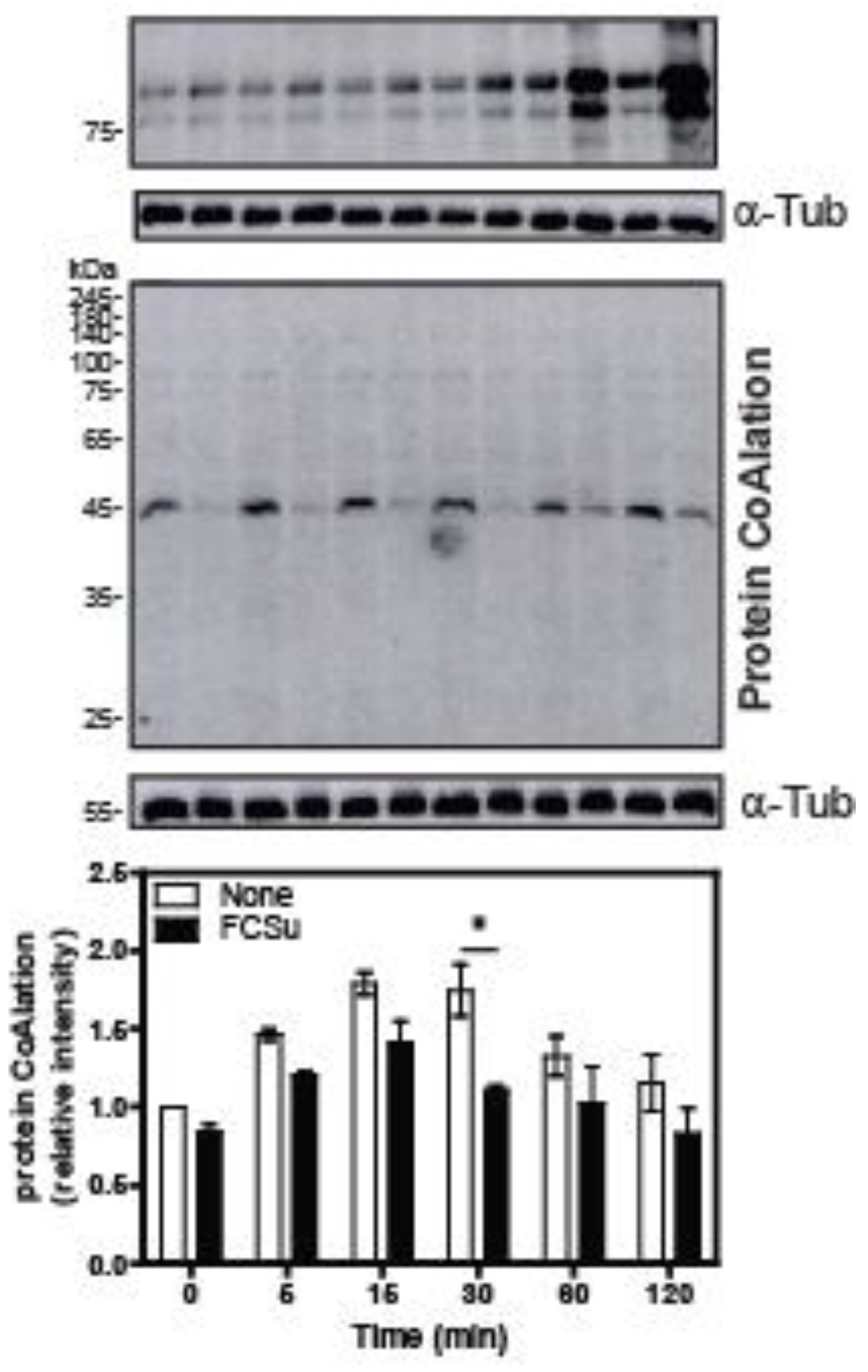 Ijms 24 12526 g007 Ijms 24 12526 g007