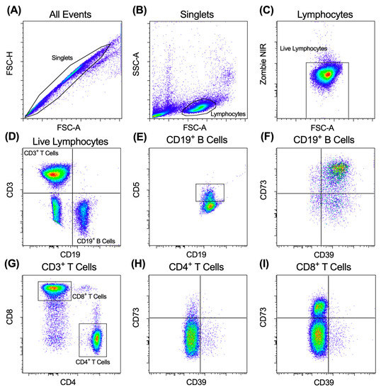 Low Pretreatment CD4+:CD8+ T Cell Ratios and CD39+CD73+CD19+ B