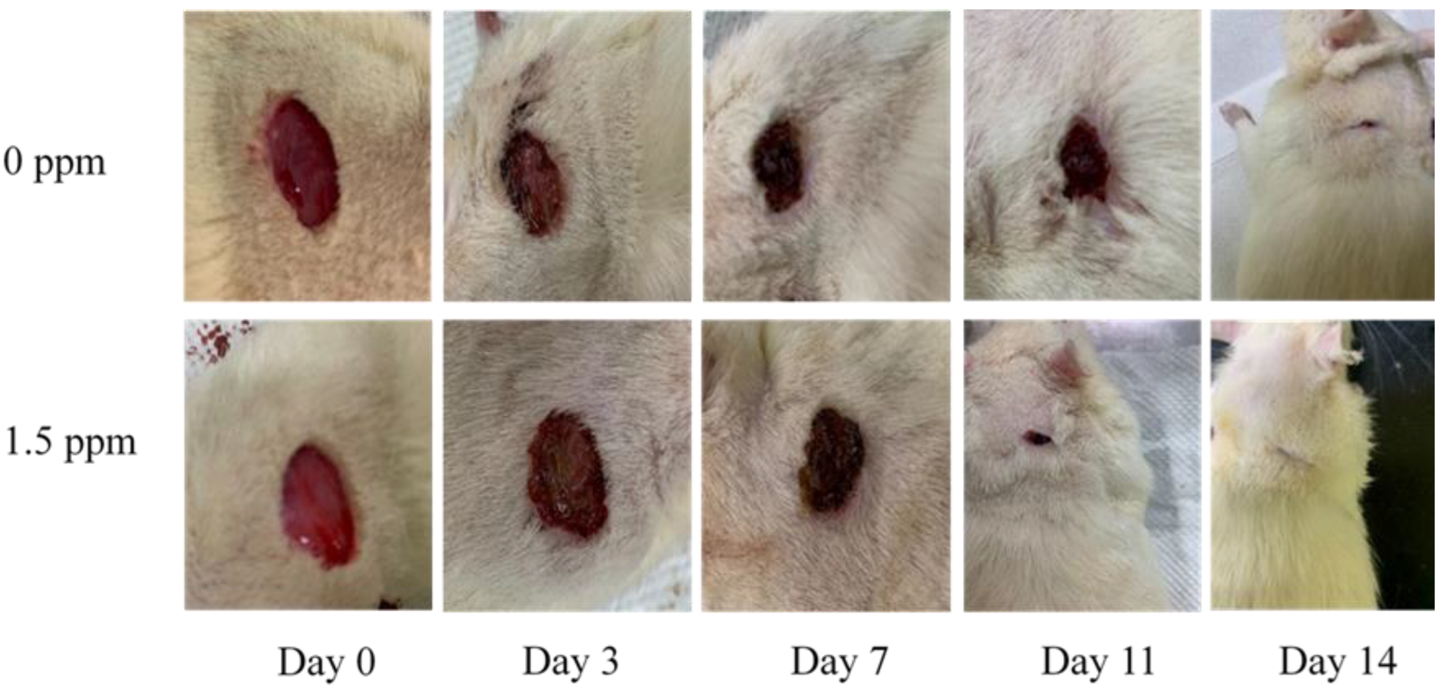 Ijms 24 12539 g002 Ijms 24 12539 g002