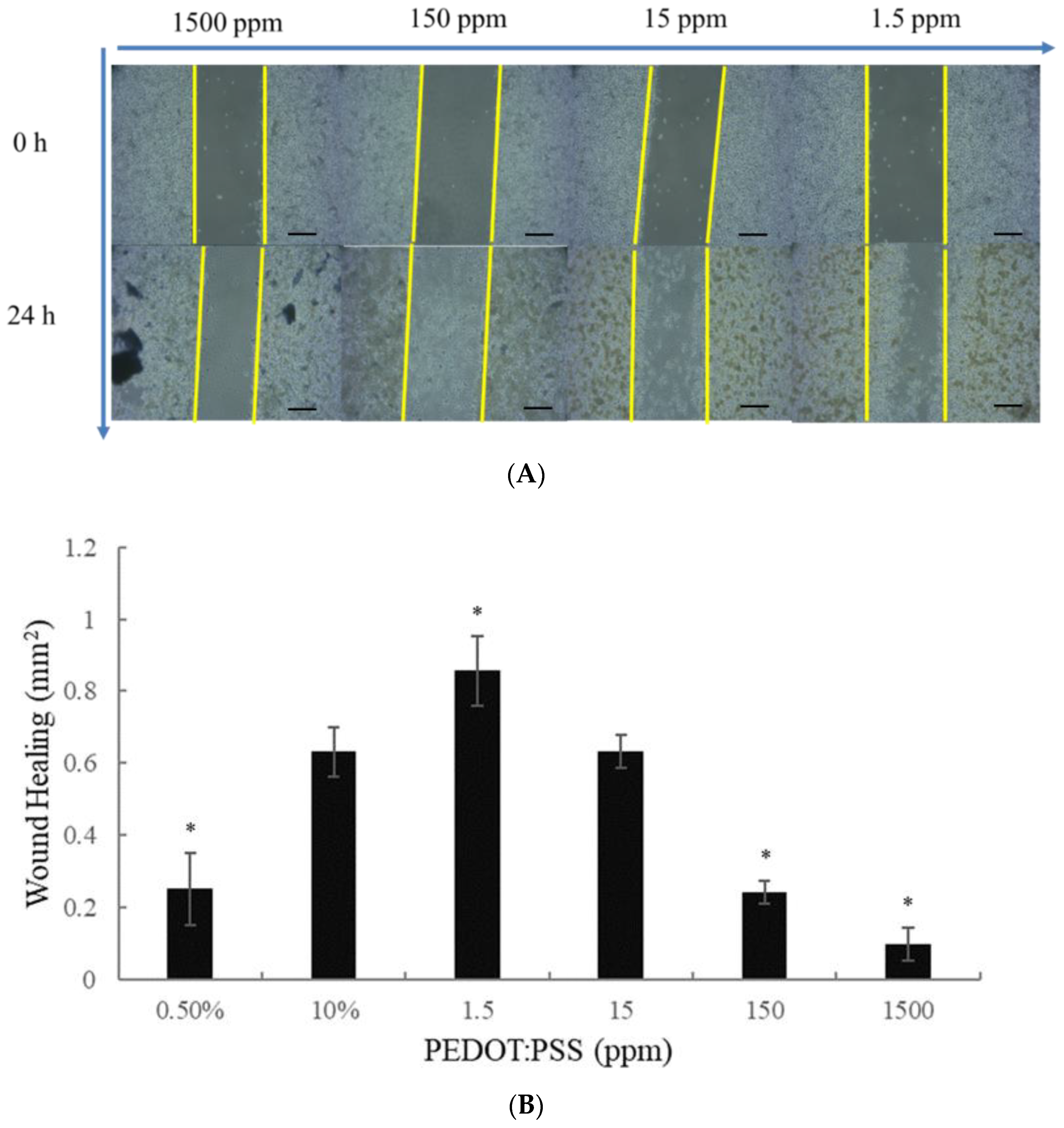 Ijms 24 12539 g005 Ijms 24 12539 g005