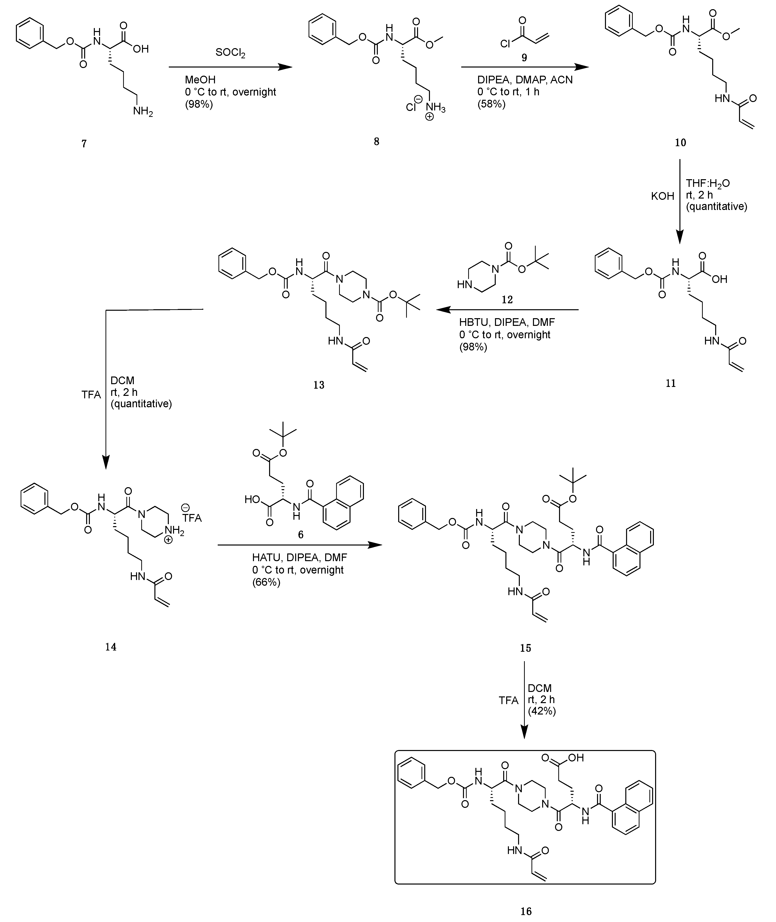 Ijms 24 12546 sch002 Ijms 24 12546 sch002