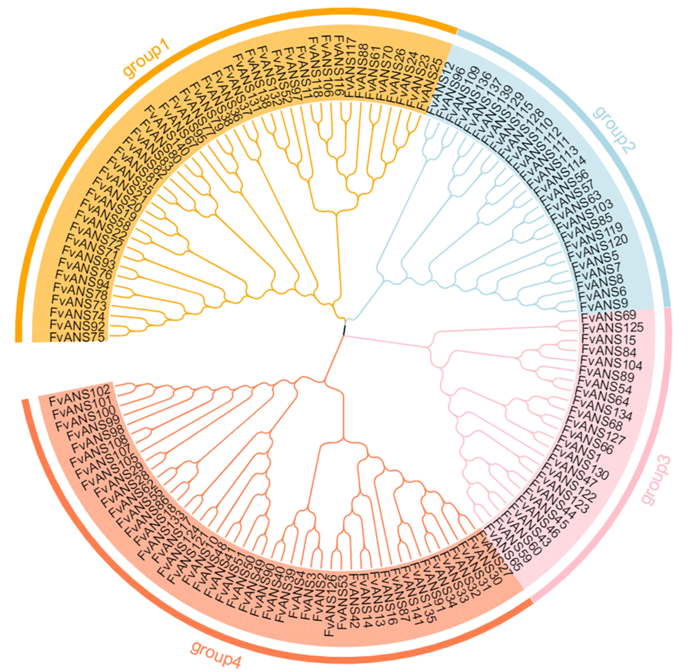 Ijms 24 12554 g001 Ijms 24 12554 g001
