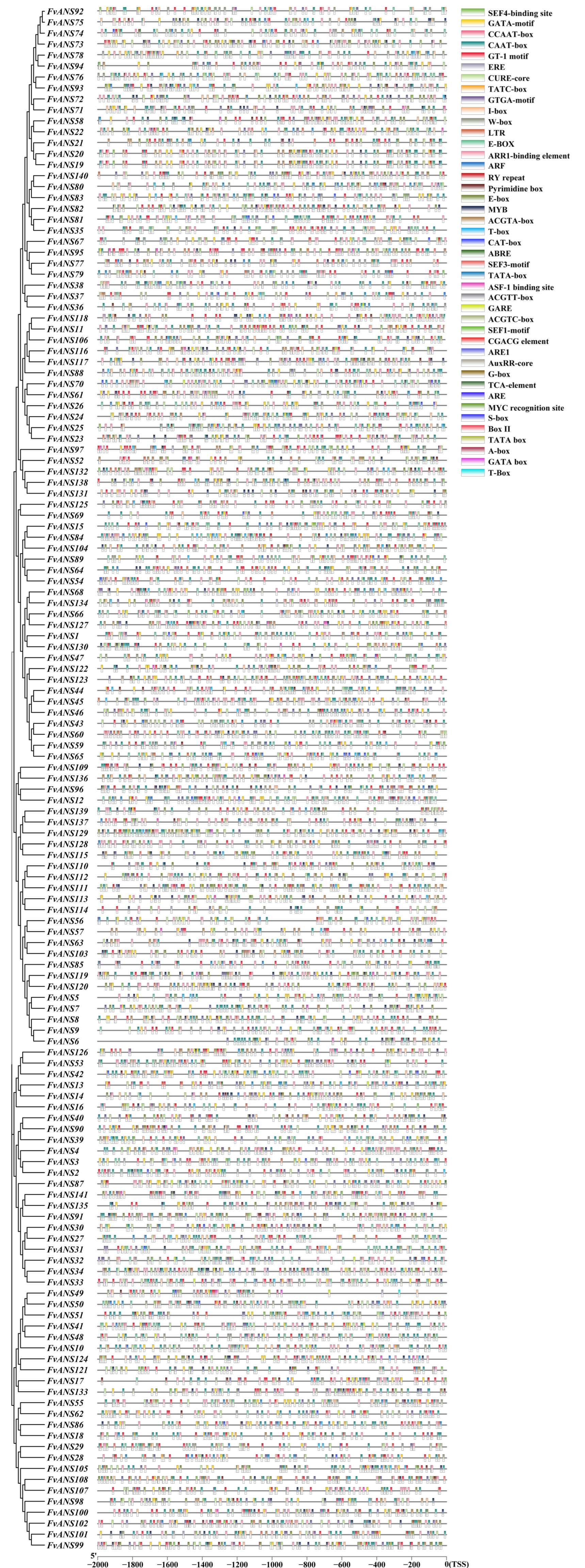 Ijms 24 12554 g004 Ijms 24 12554 g004