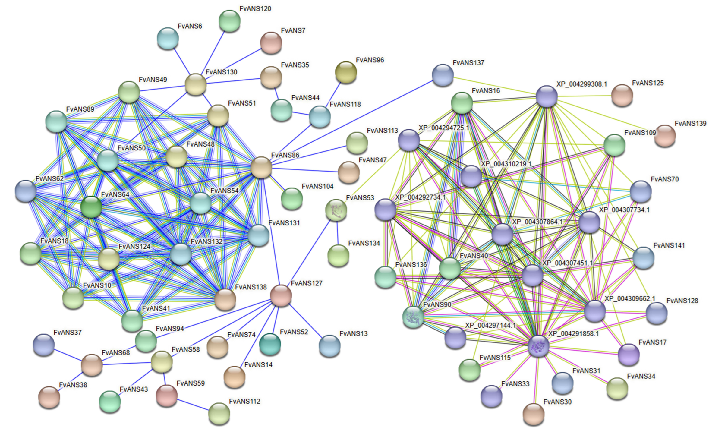 Ijms 24 12554 g011 Ijms 24 12554 g011