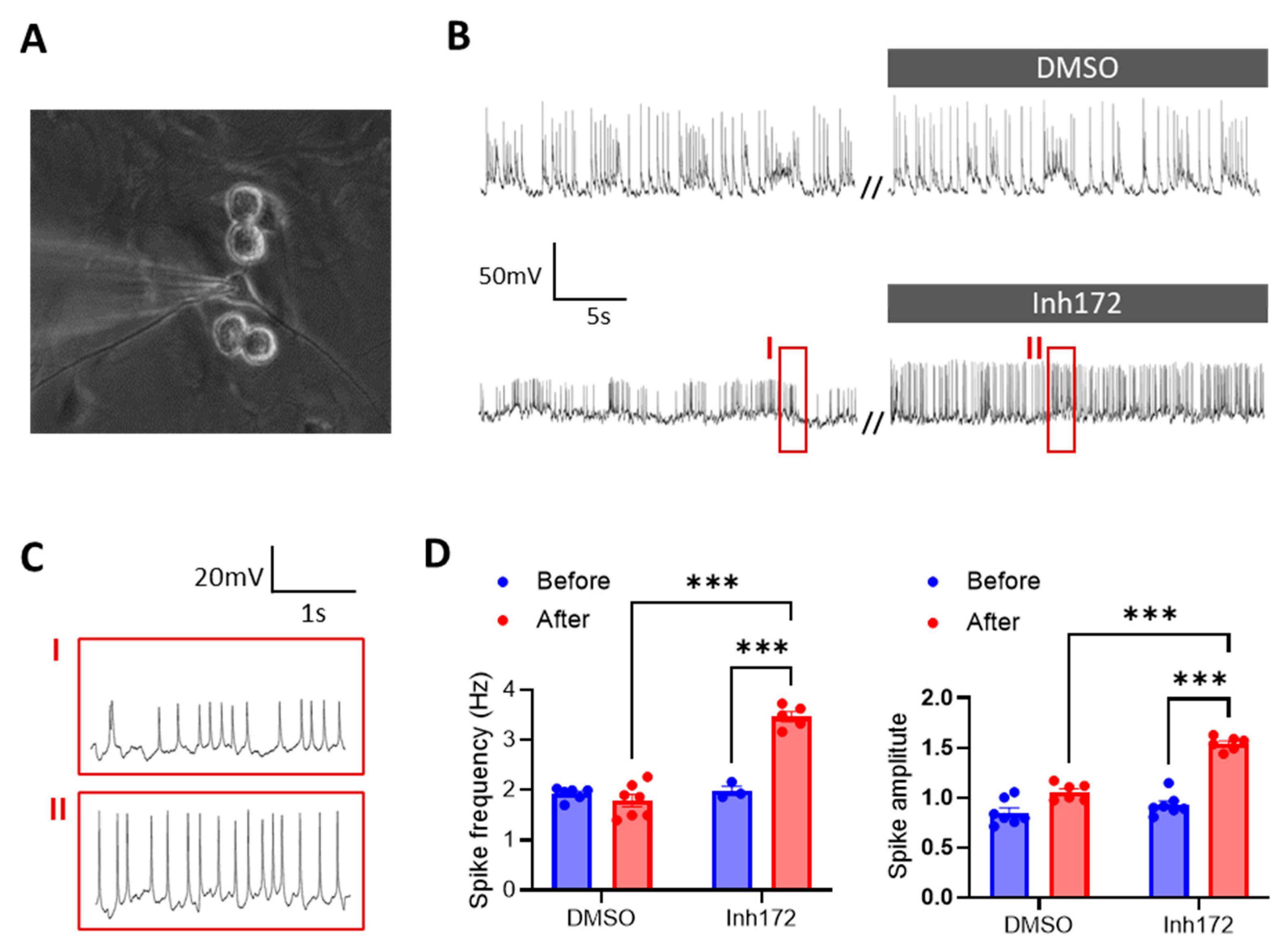 Ijms 24 12572 g001 Ijms 24 12572 g001