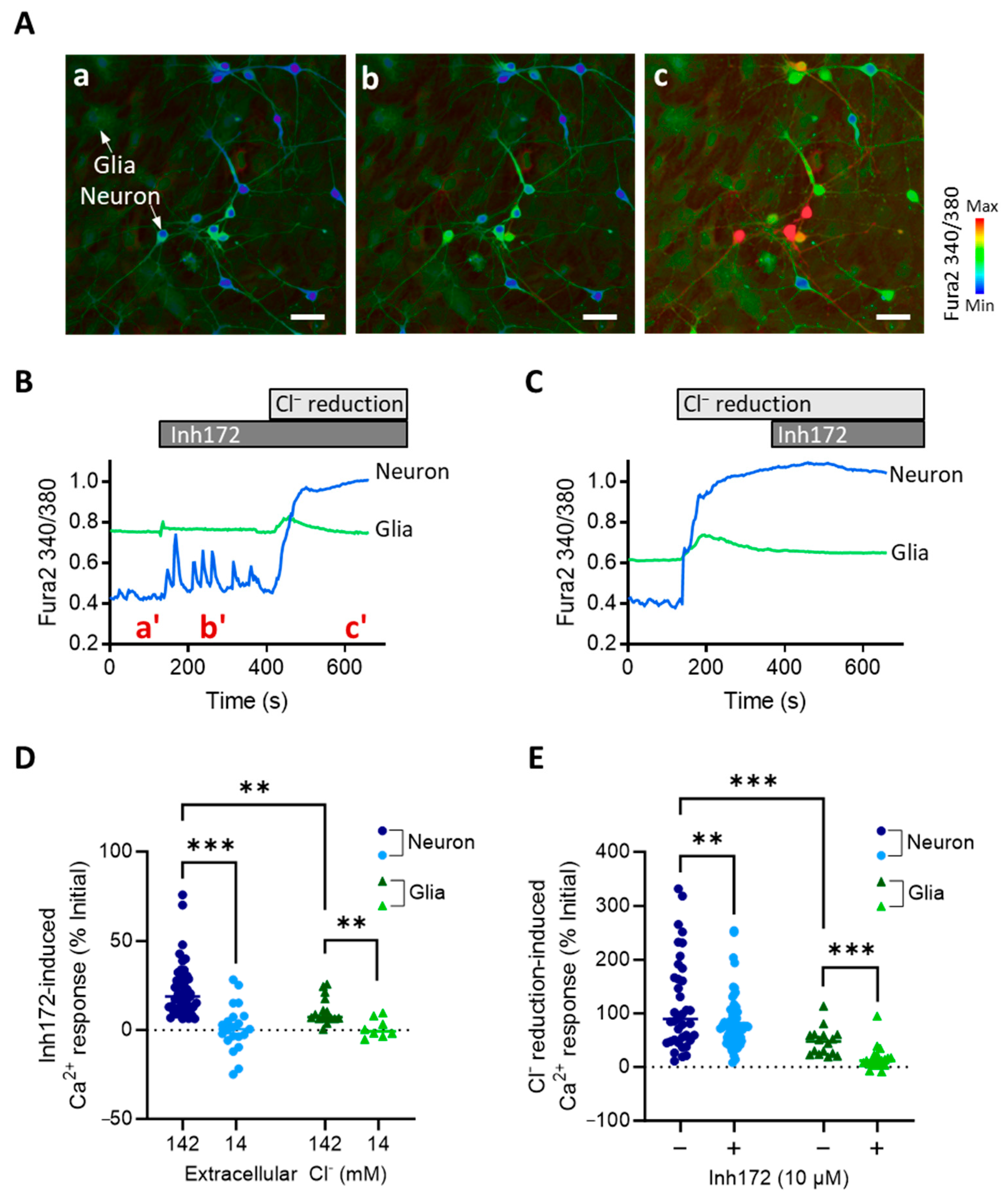 Ijms 24 12572 g002 Ijms 24 12572 g002