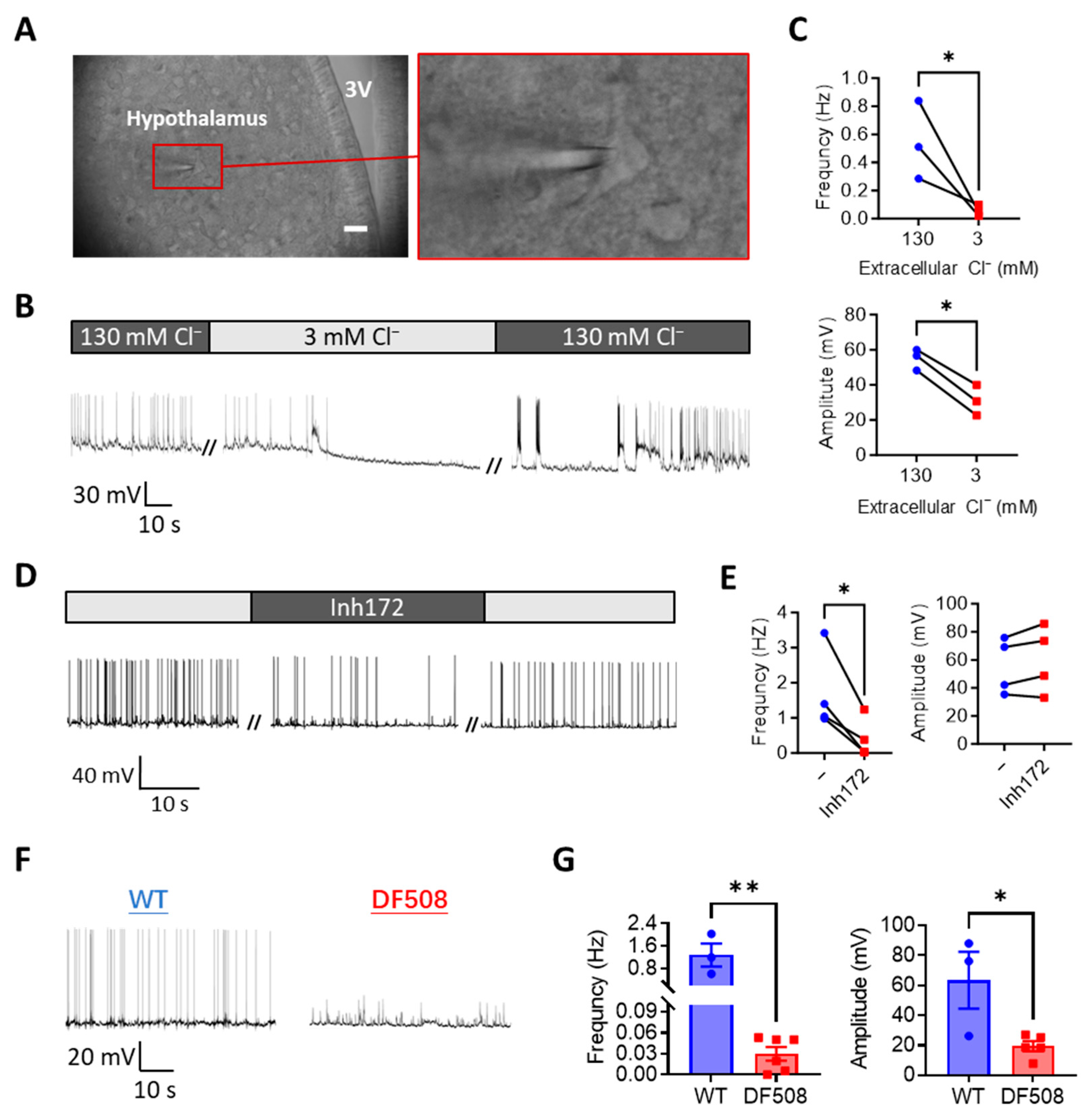 Ijms 24 12572 g003 Ijms 24 12572 g003