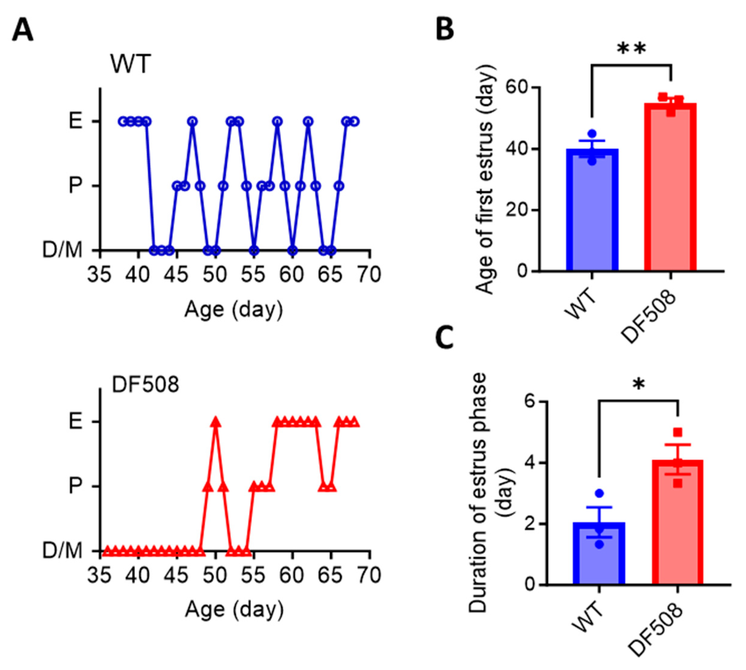 Ijms 24 12572 g004 Ijms 24 12572 g004