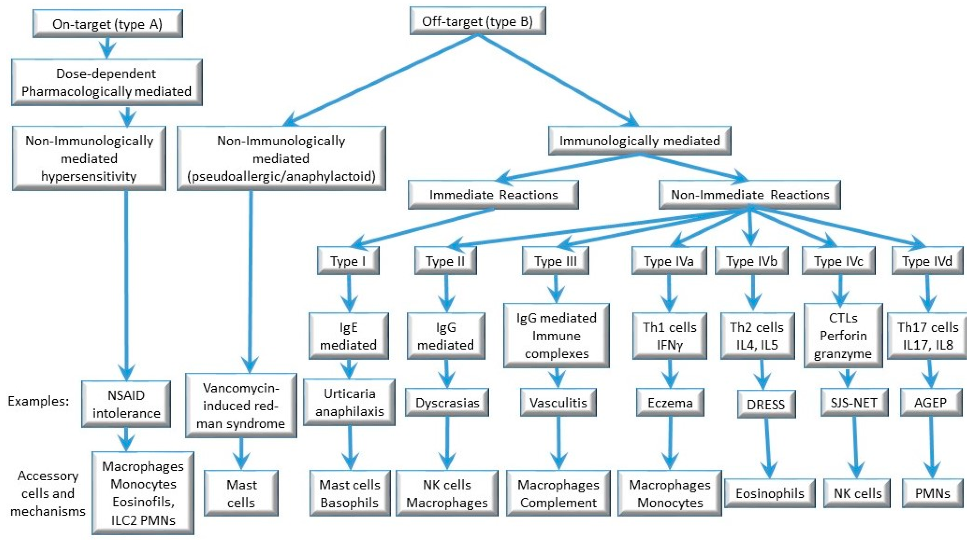 IJMS | Free Full-Text | Tools for Etiologic Diagnosis of Drug-Induced ...