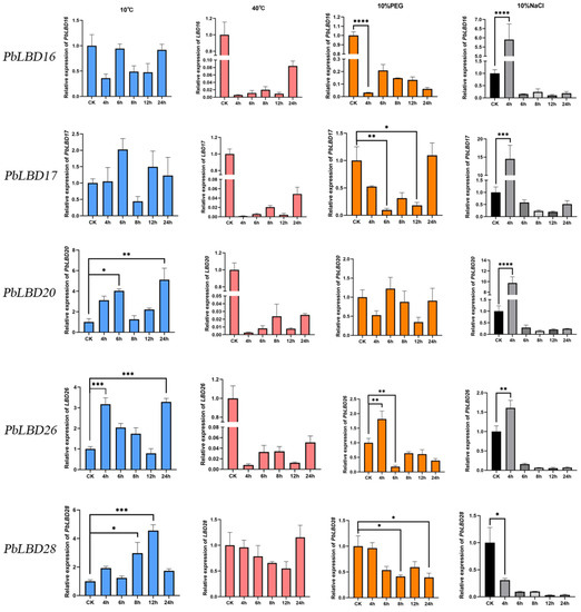 Genome Identification and Evolutionary Analysis of LBD Genes