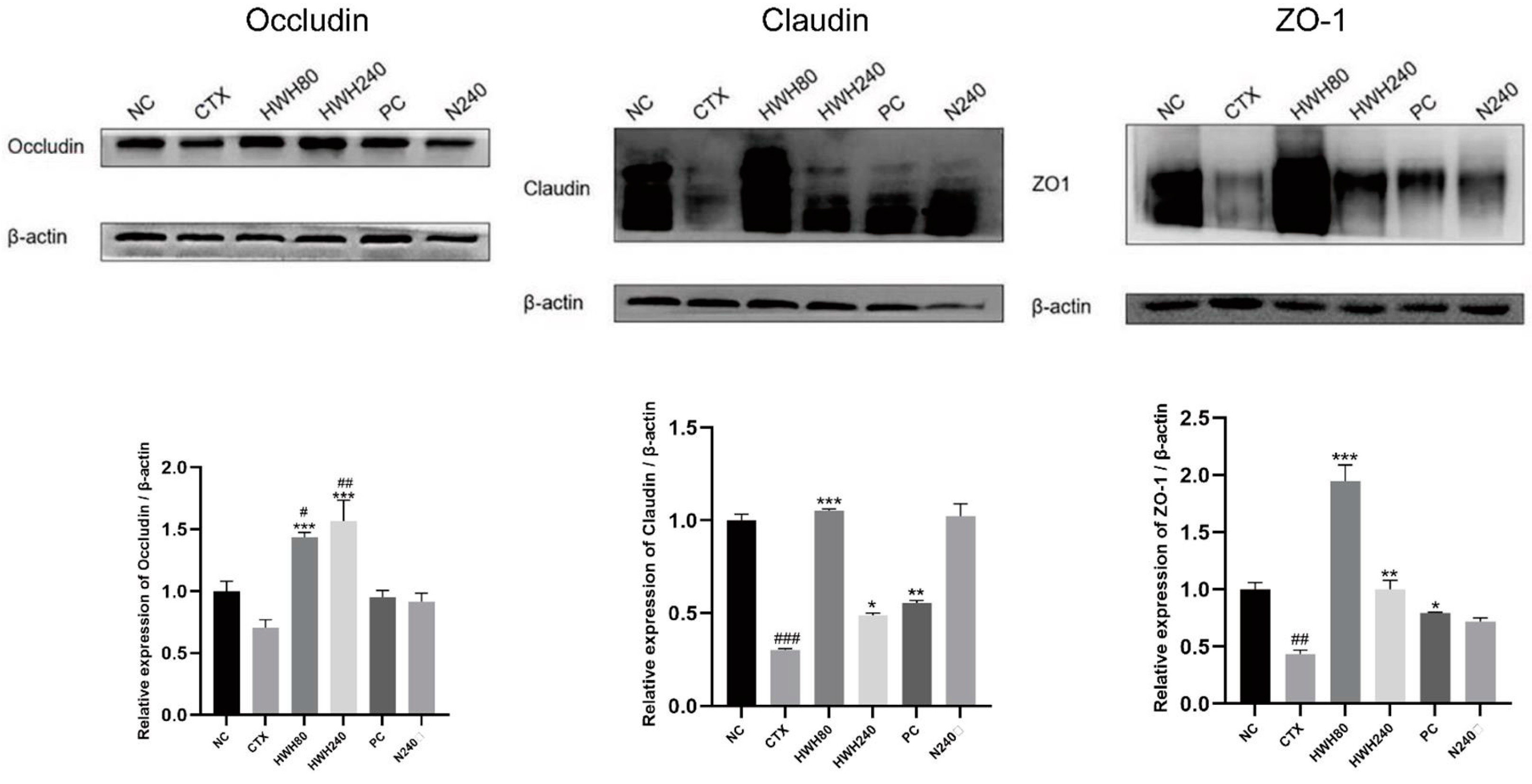 Ijms 24 12583 g003 Ijms 24 12583 g003