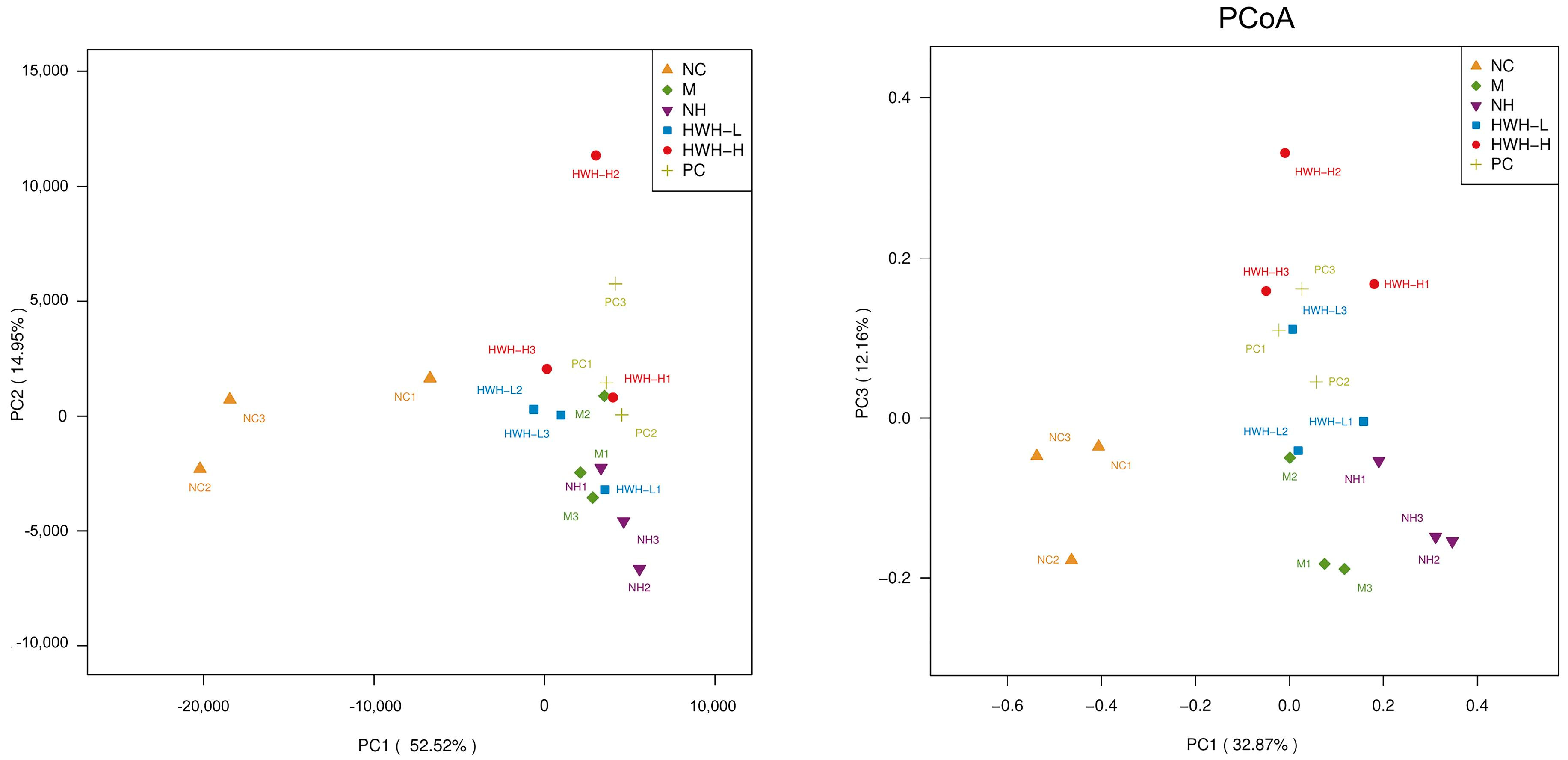 Ijms 24 12583 g006 Ijms 24 12583 g006