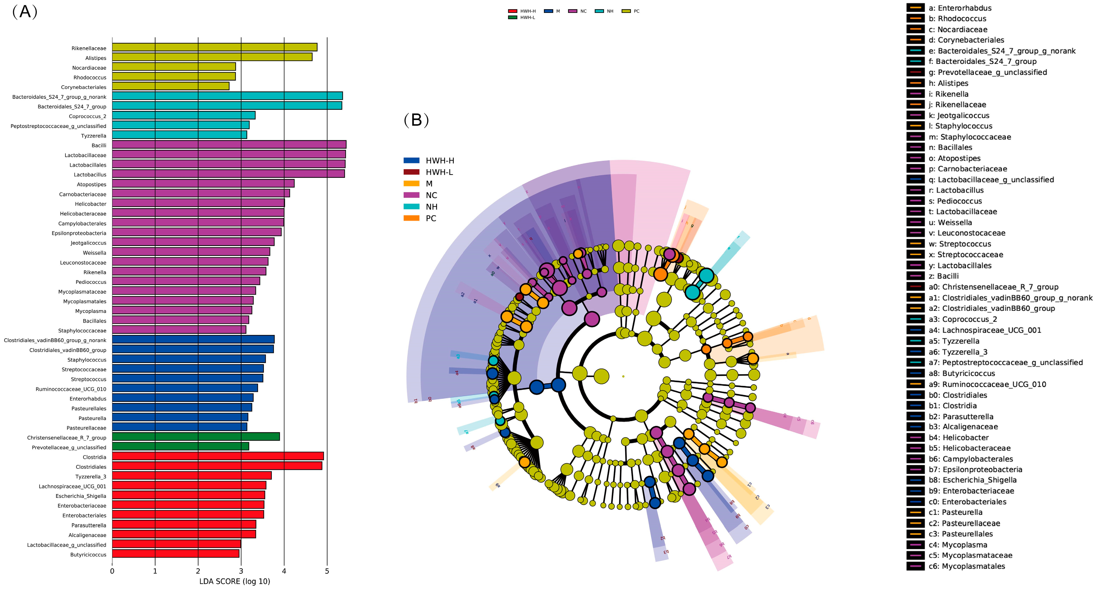 Ijms 24 12583 g008 Ijms 24 12583 g008