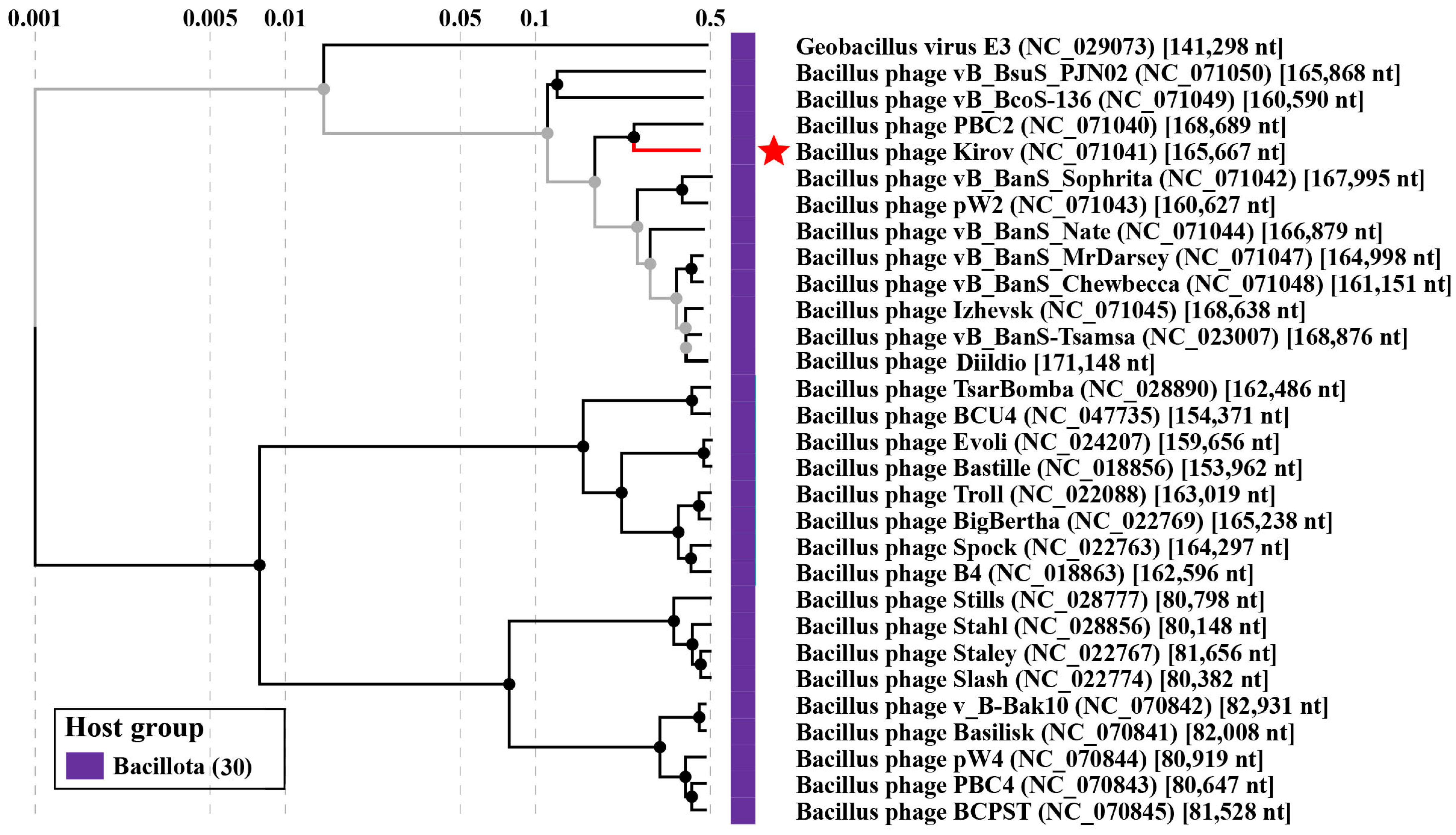 Ijms 24 12584 g004 Ijms 24 12584 g004