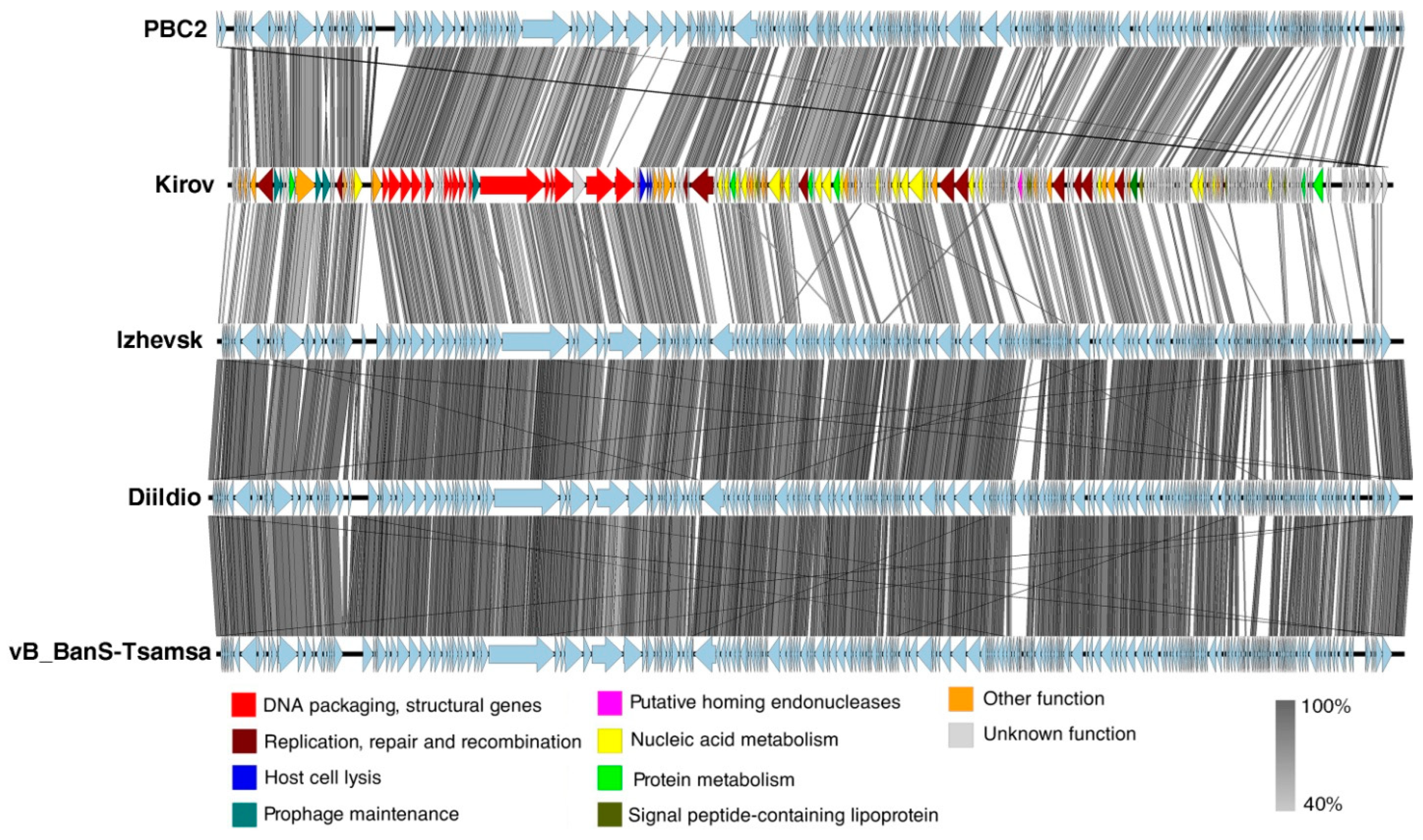 Ijms 24 12584 g005 Ijms 24 12584 g005
